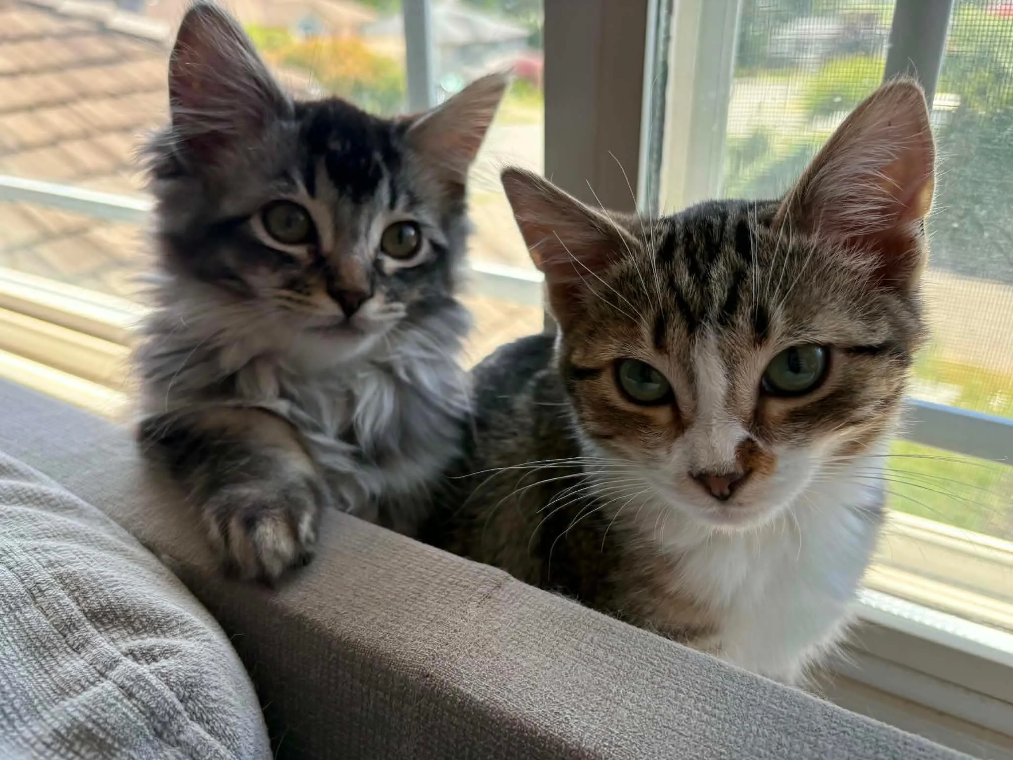 Freya & Rowan