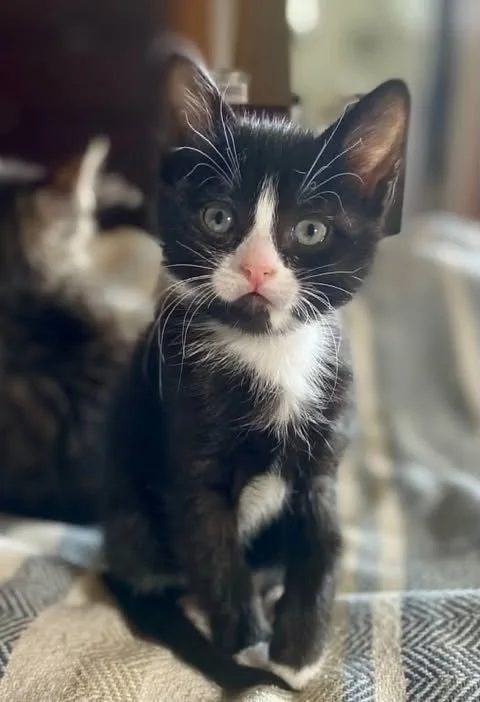 ella 3.jpg
