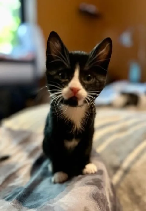 ella1.jpg