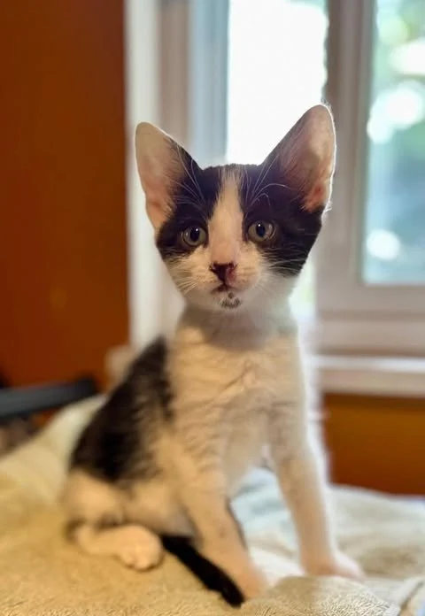 bella2.jpg