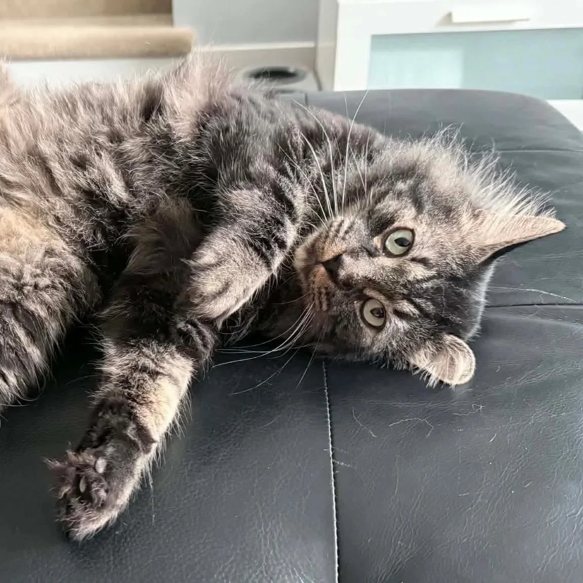 Rocky