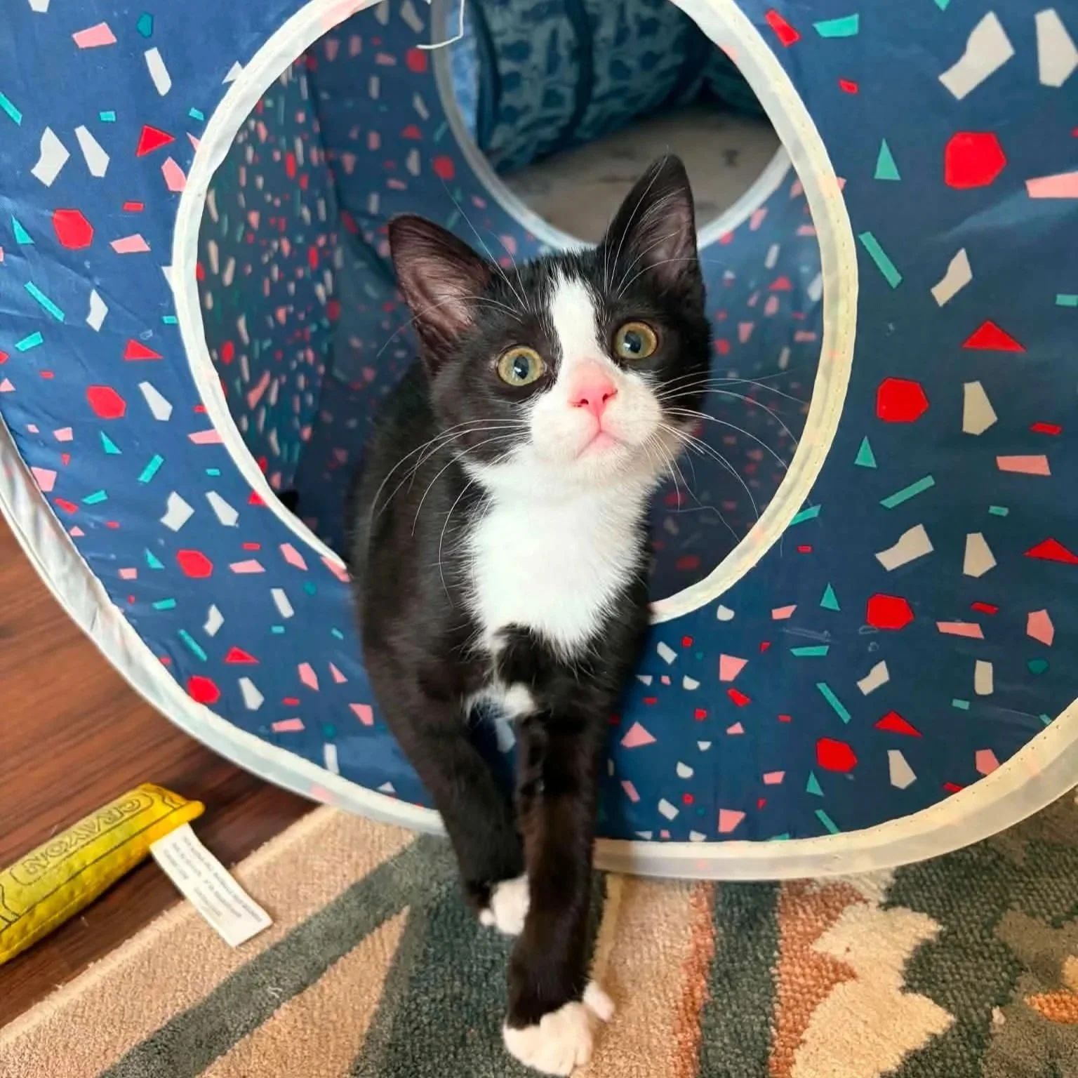 Pixel