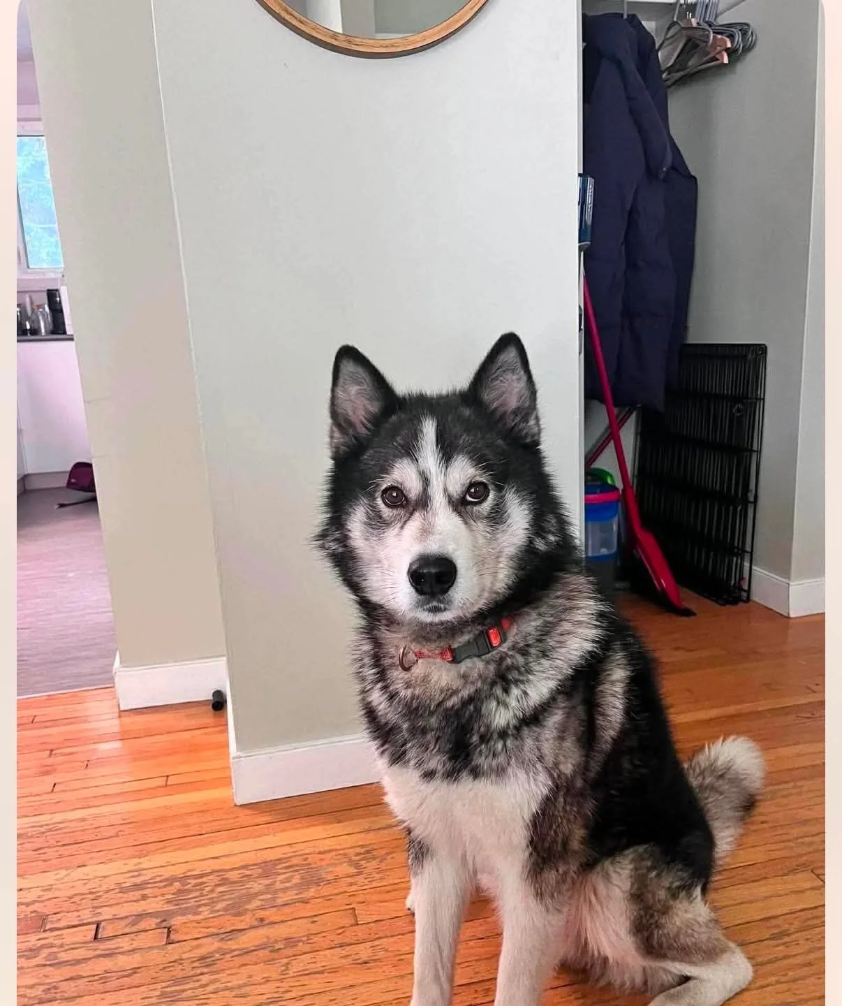 Skye