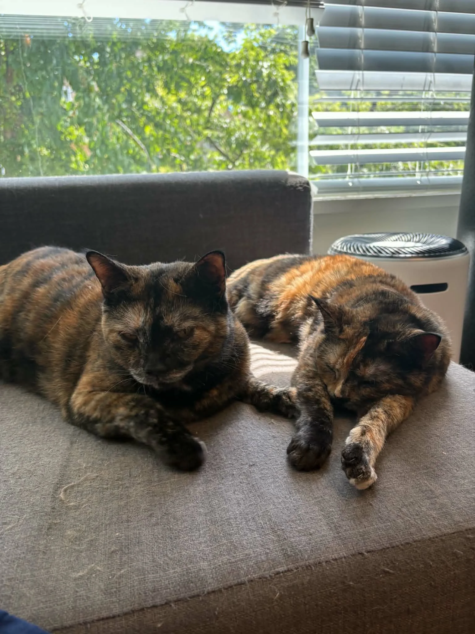 Emily & Charlotte