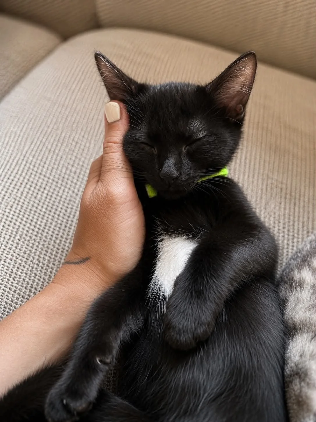 Binx