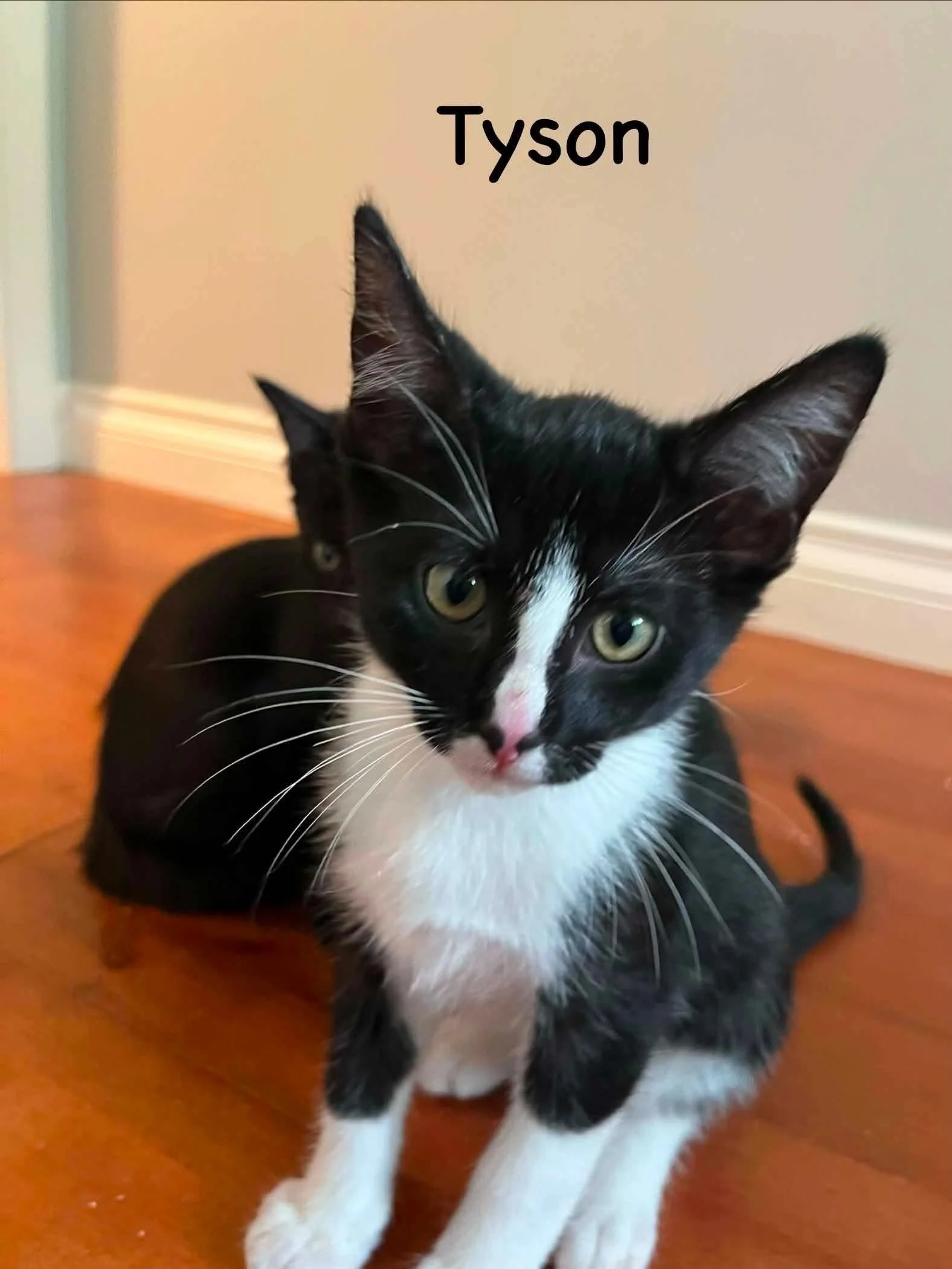 Tyson
