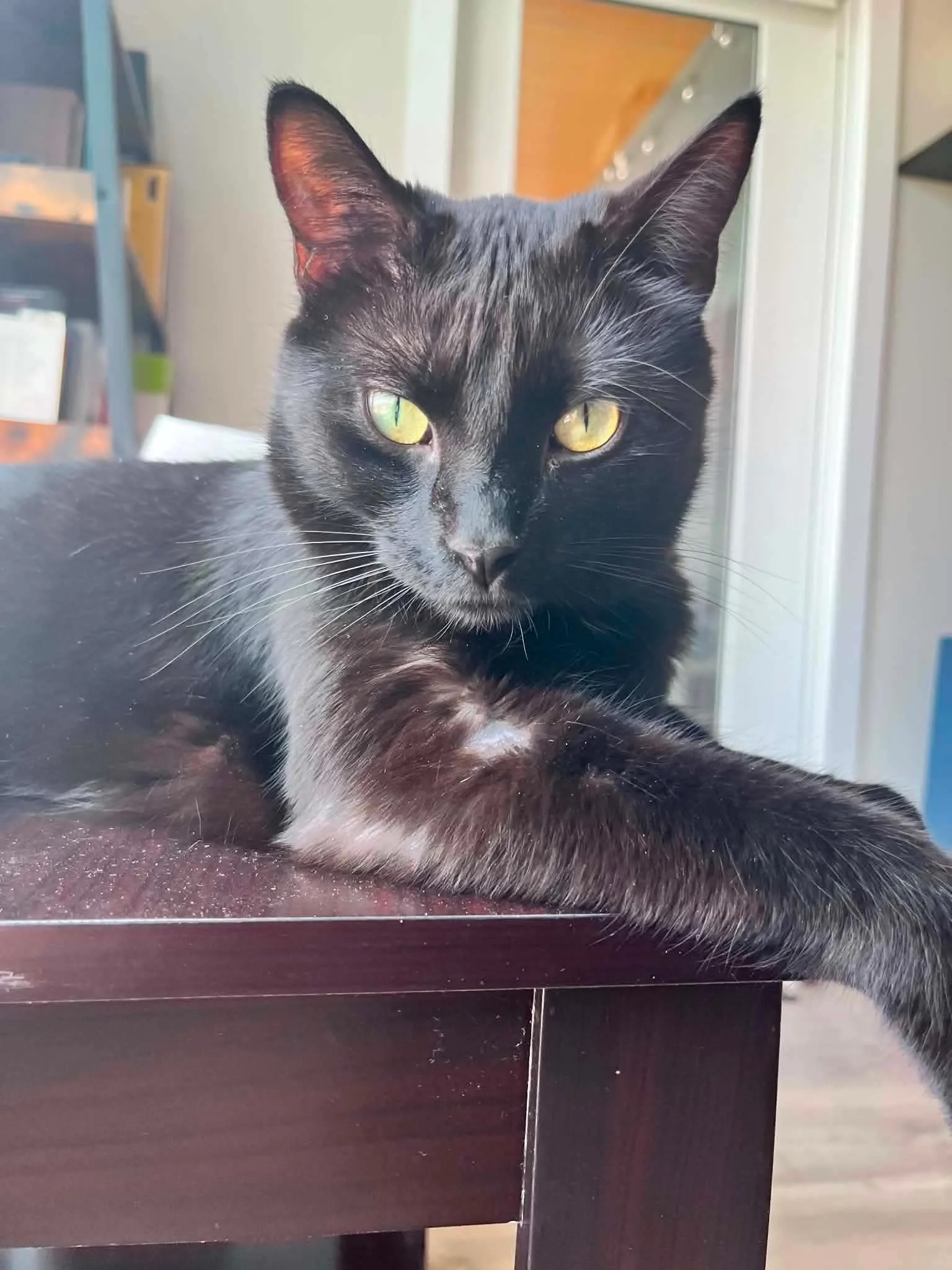 Pico