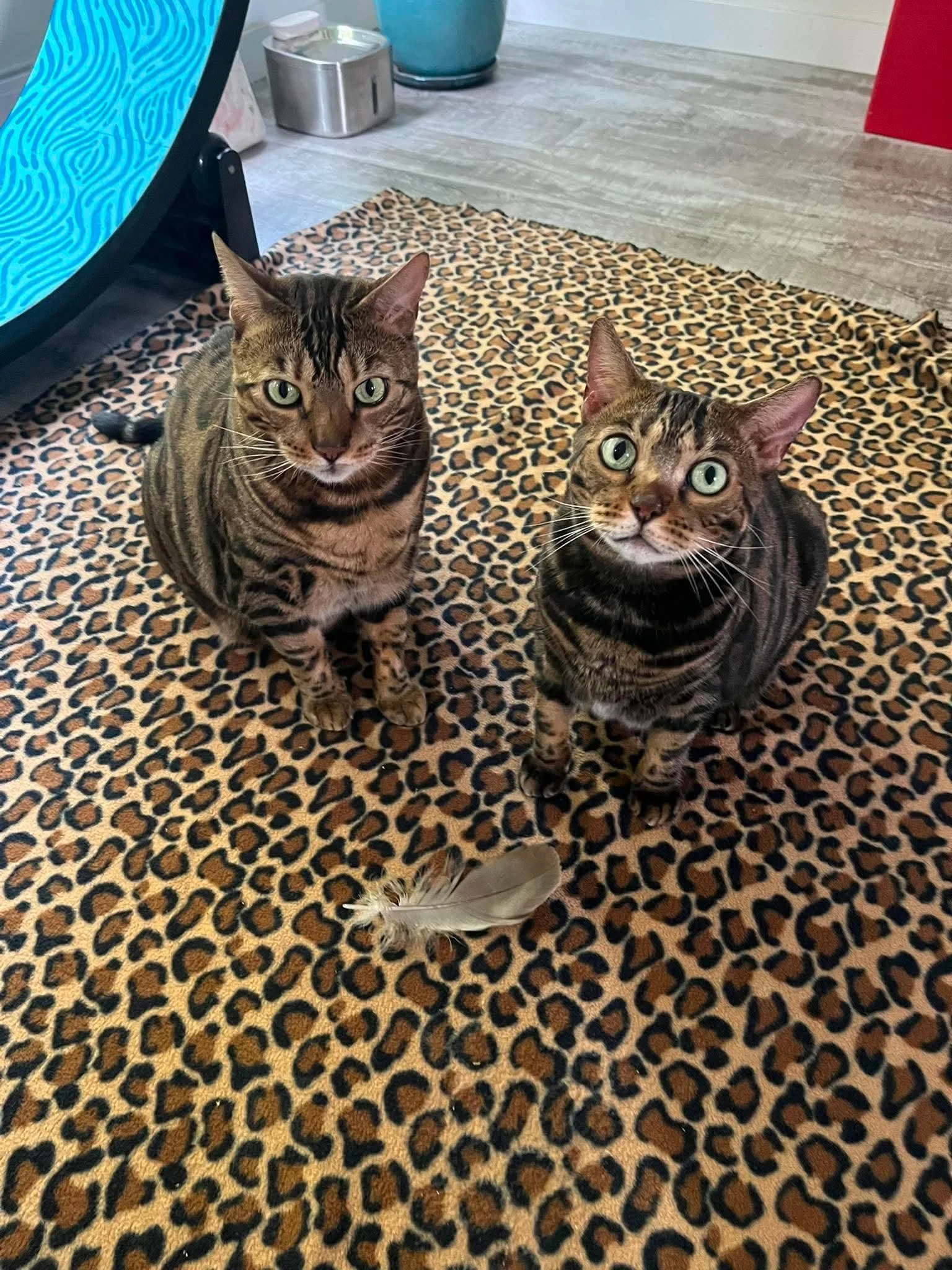 Eden & Nelly