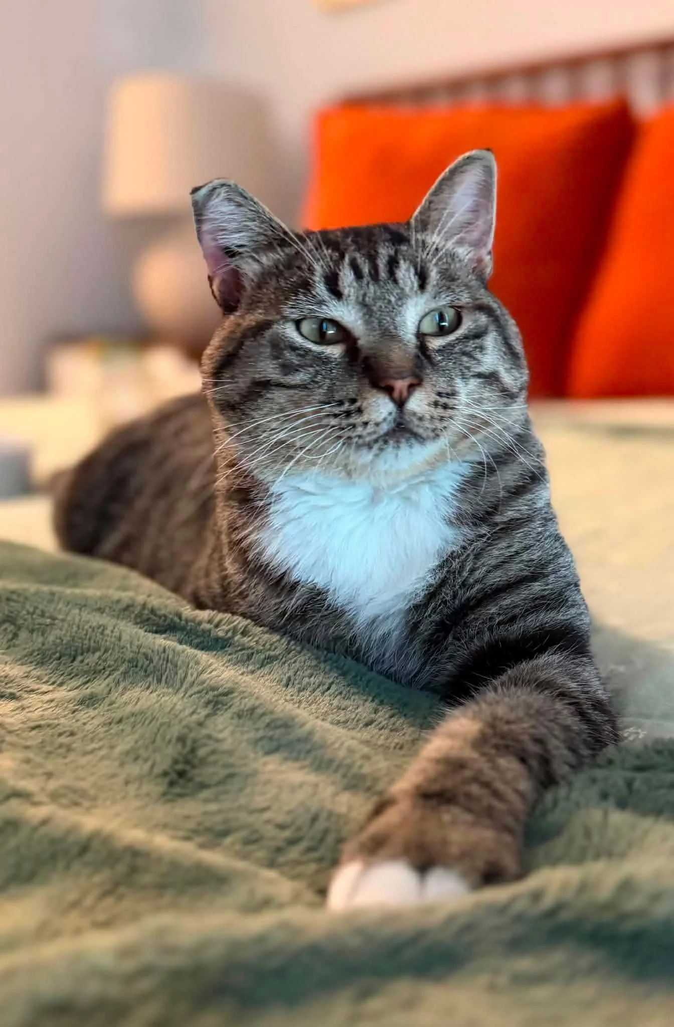 Tony