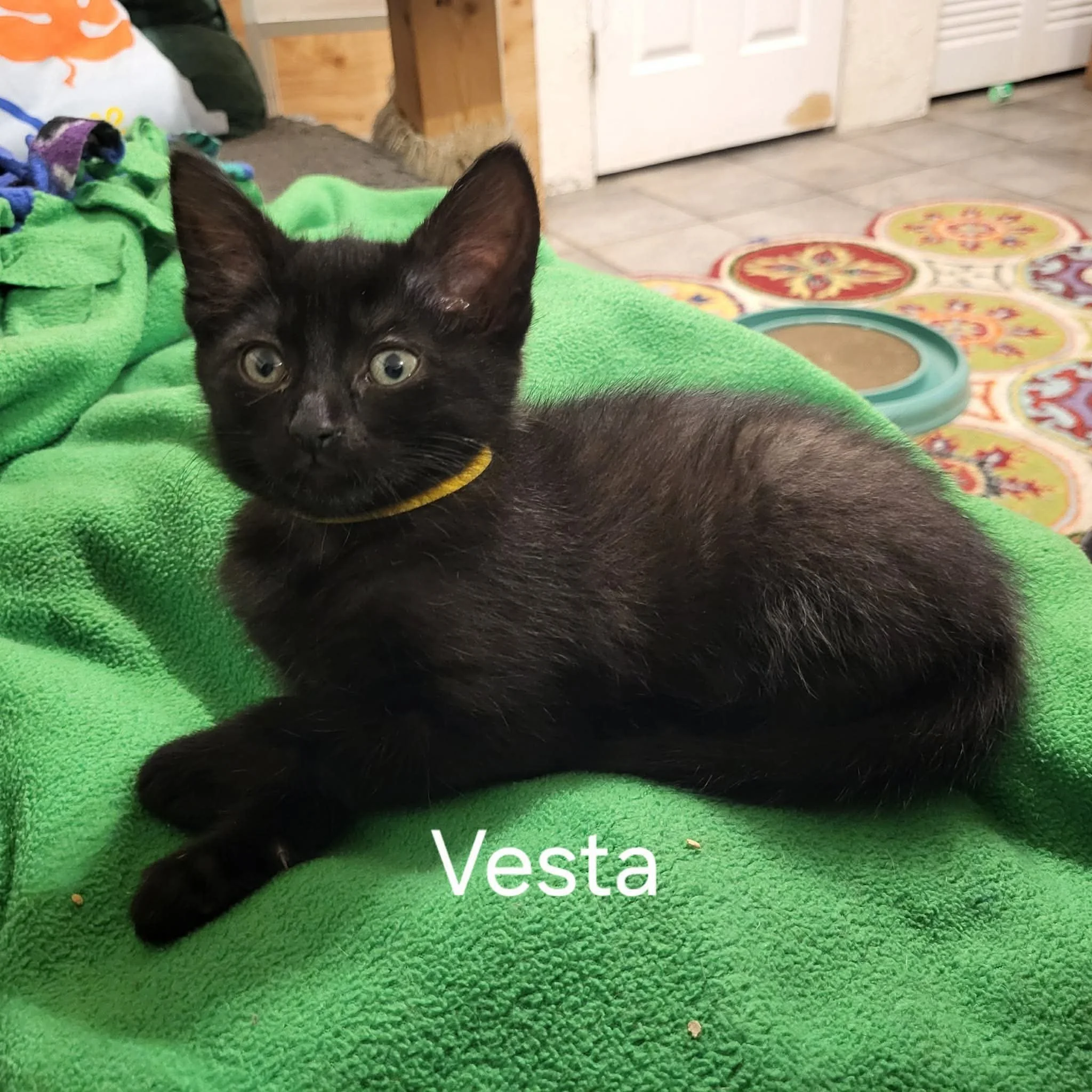 Vesta