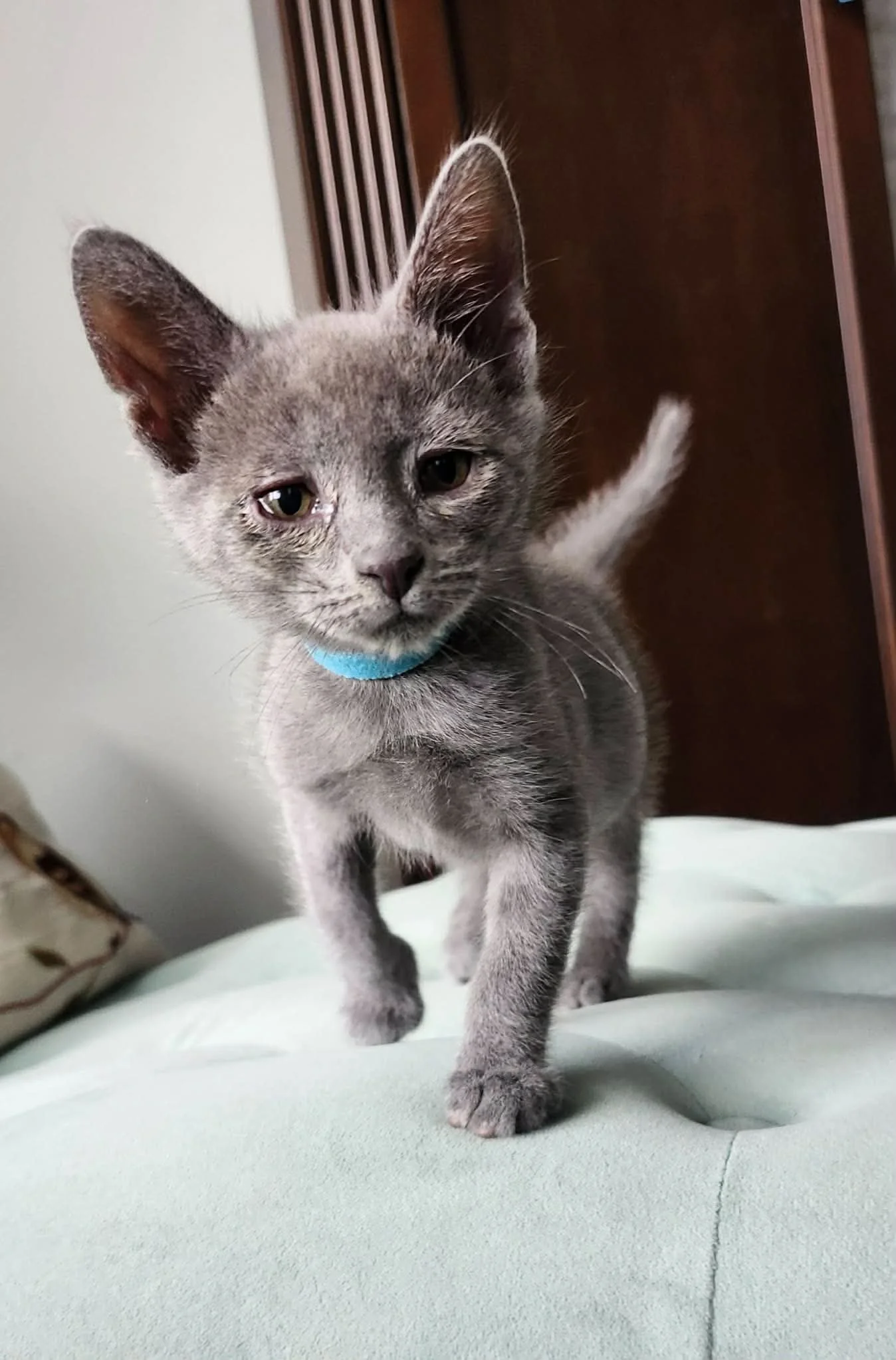 Percy