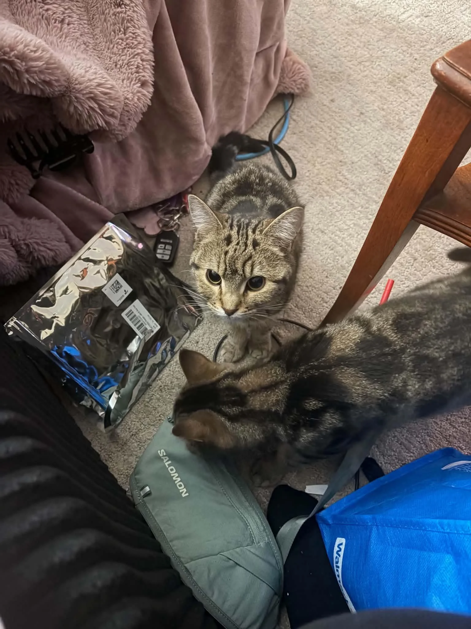 Cache