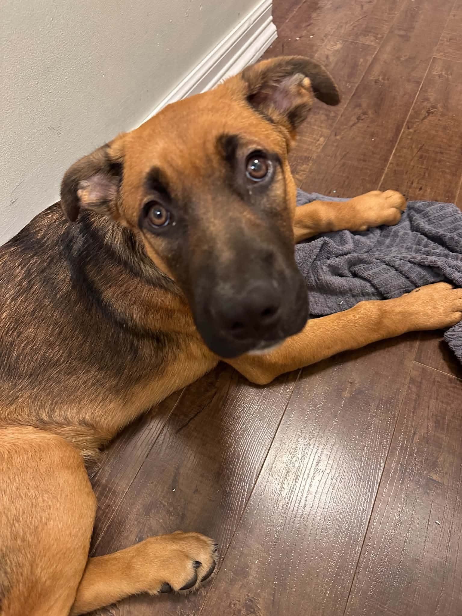 Max