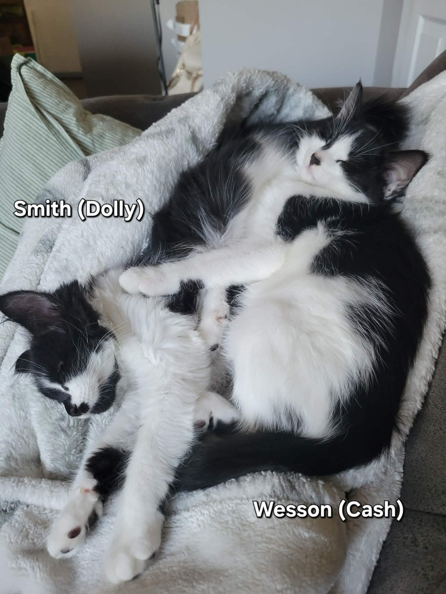 Smith & Wesson