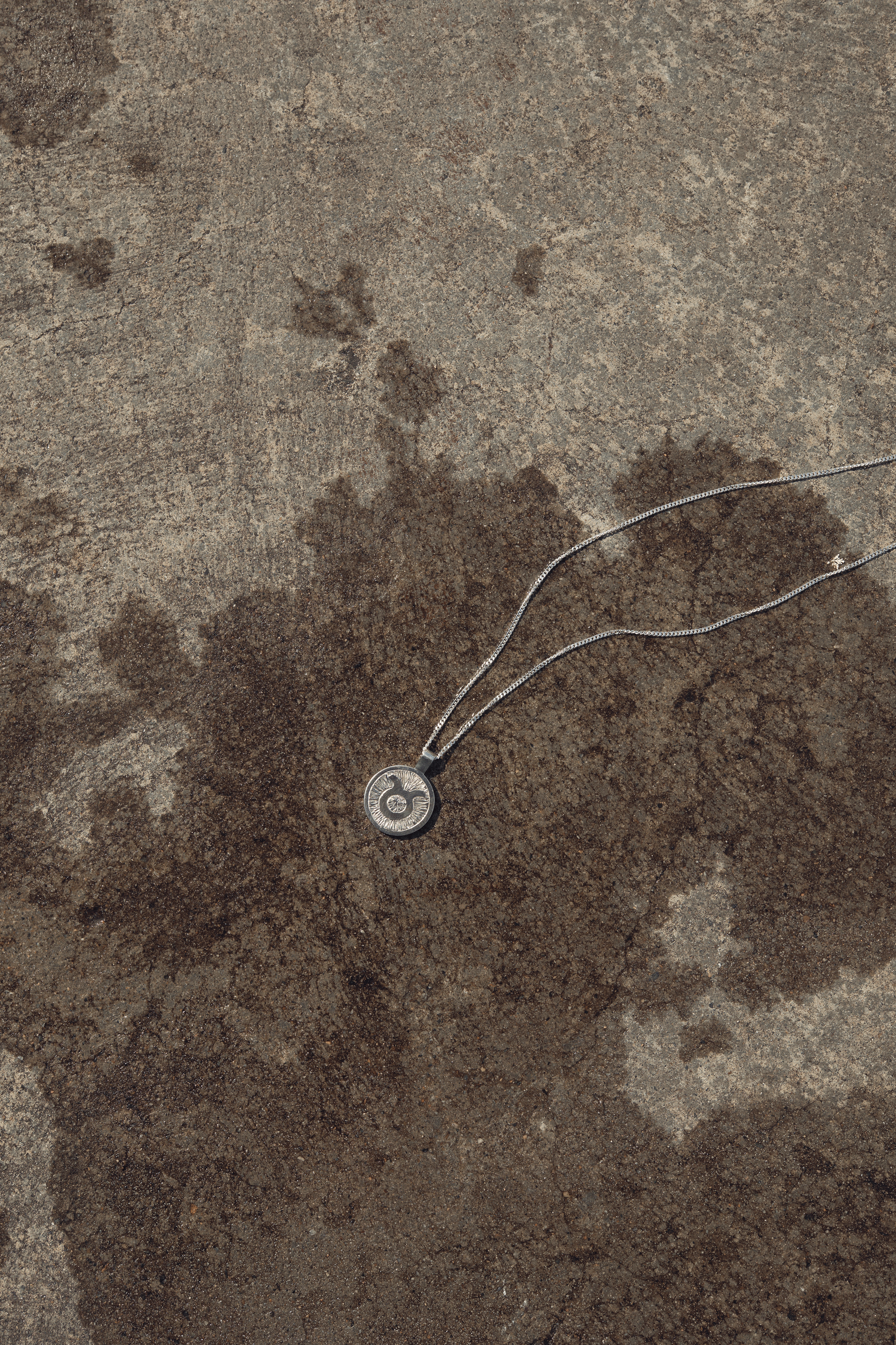Taurus-3.gif