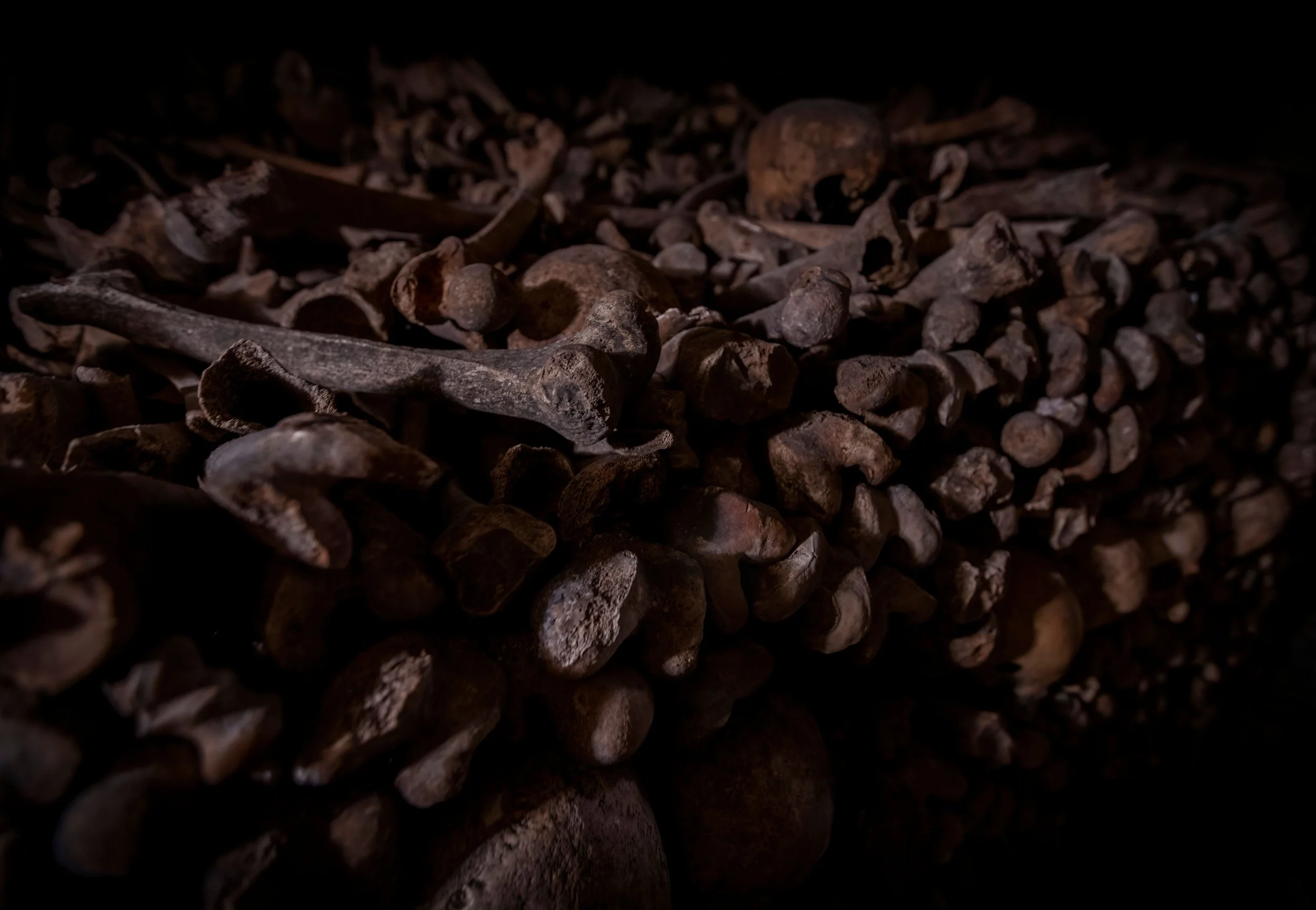 jpeg-optimizer_DSC01769-1-DeNoiseAI-low-light (1).jpeg