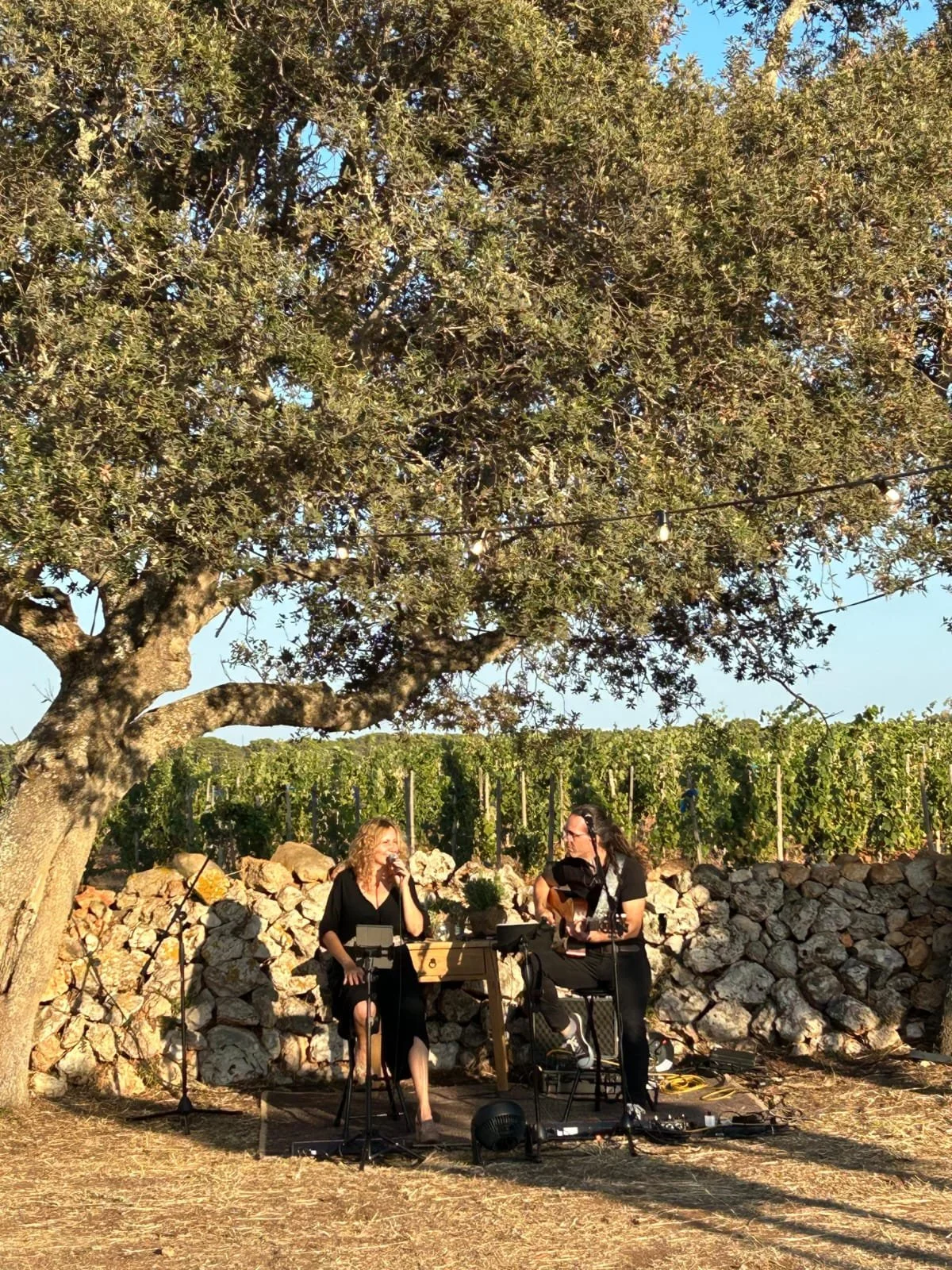 0007-DELOREAN-DELOREAN AL PARICO.png - 2287605.png