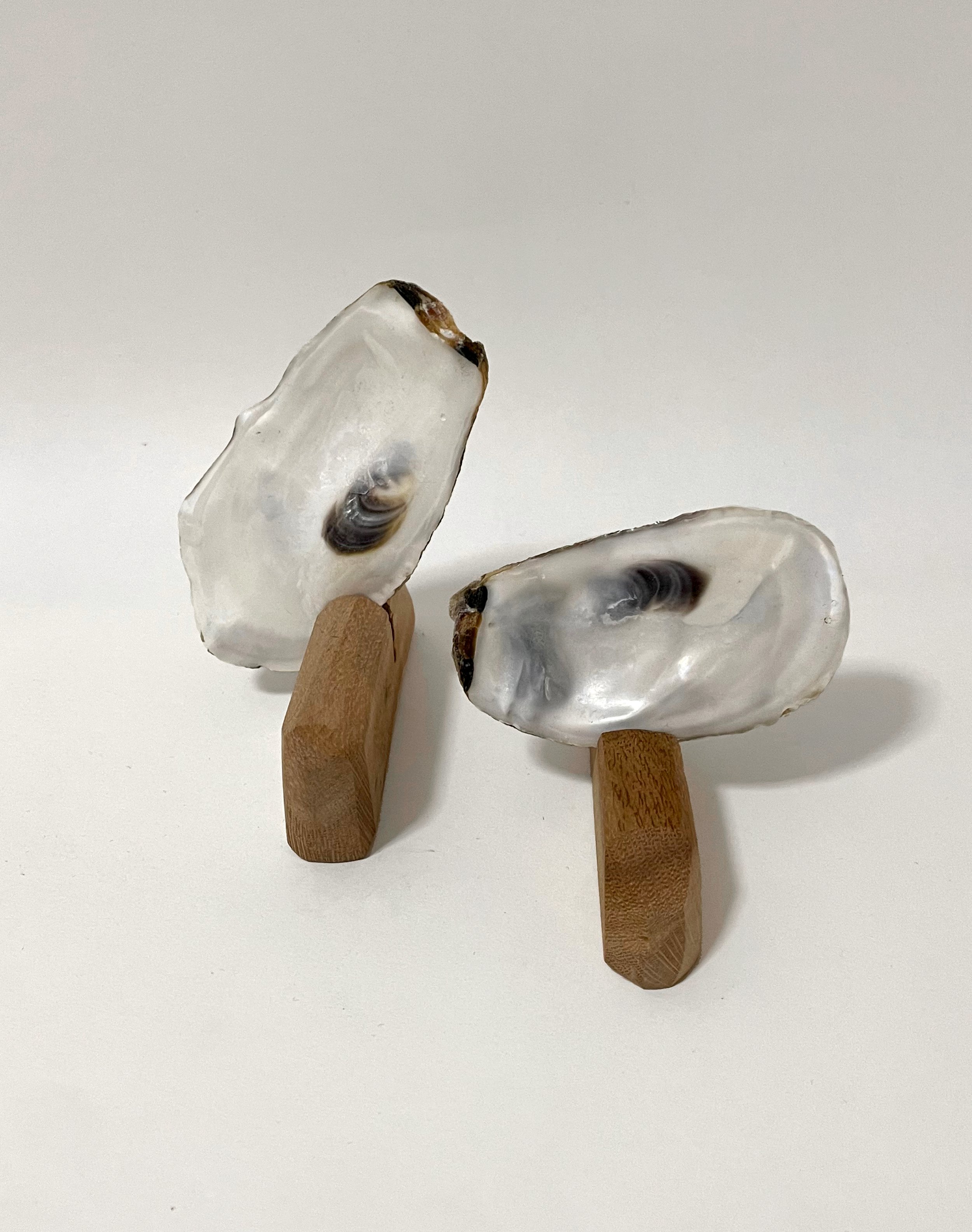 Two Fold, 2026, Mixed Media, 9 x 15 x 8cm