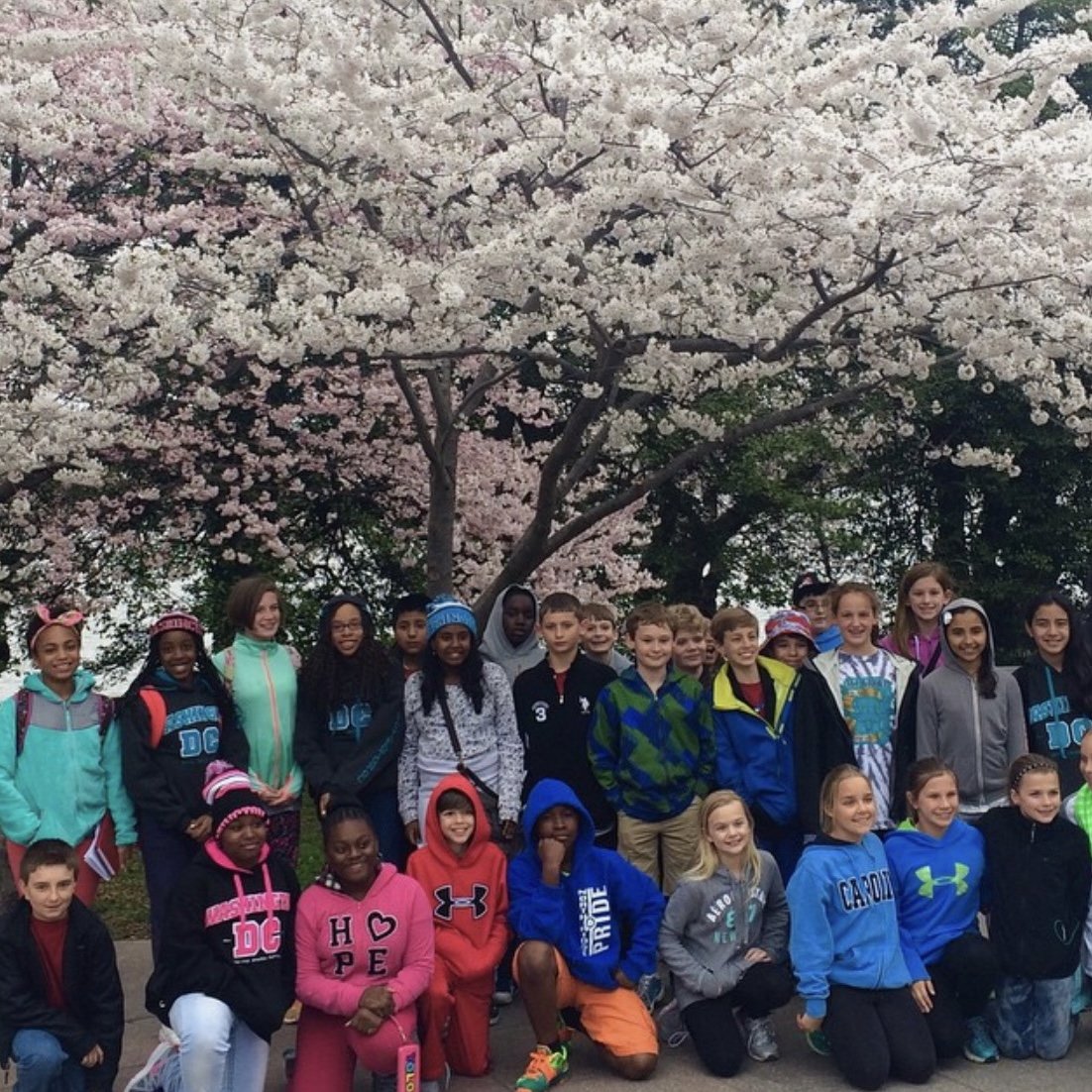  students standing under tree with cherry blossoms in a group picture wearing multiple colored Washington DC sweatshirts Fifth grade students stop for a group photo at the Tidal Basin in Washington DC under a cherry blossom tree in bloom during&nbsp;