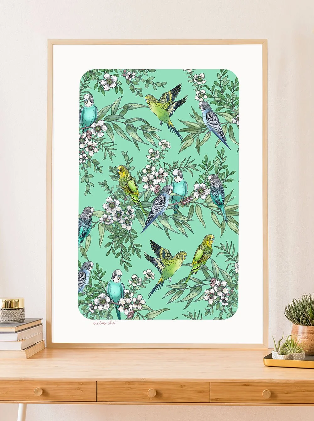 Budgerigars-A2-insitu.jpg