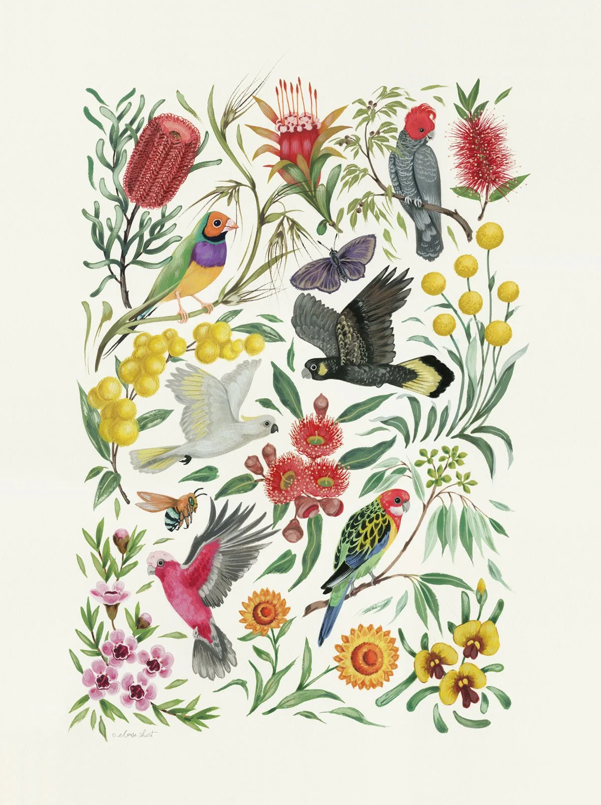Feathers-&-Flowers-Australian-portrait-print-eloise-short-feature-A1-A4.jpg