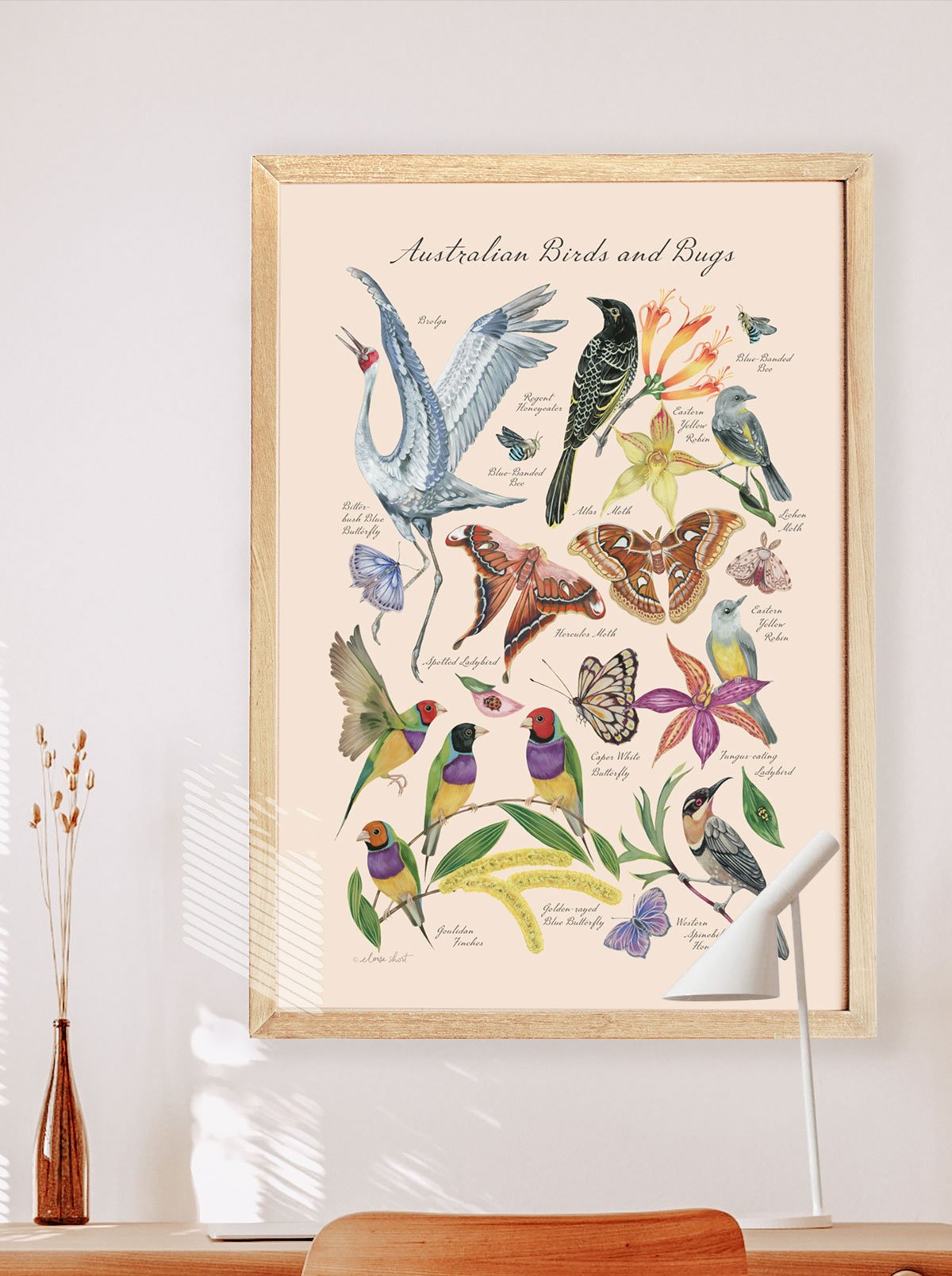 Australian-birds-bugs-print-A1-2-insitu.jpg