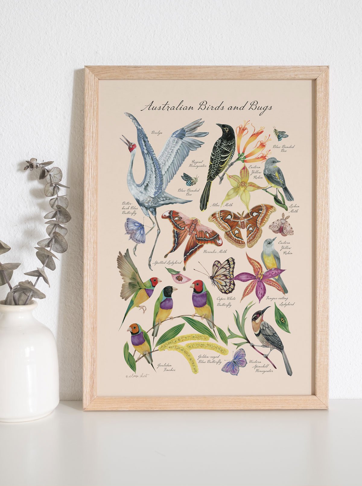Australian-birds-bugs-print-A4-insitu.jpg