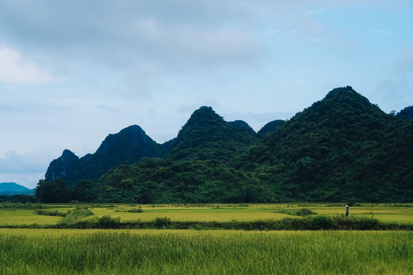 This region of Vietnam is one of my favorite places in the whole country. 

The land here feels otherworldly, limestone karsts rise high into the air and they surround you on all sides. Flowing rivers and roads, lush rice paddies and a quiet pace of 