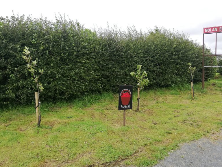 Lough Lene Gaels Pitch – our biggest orchard