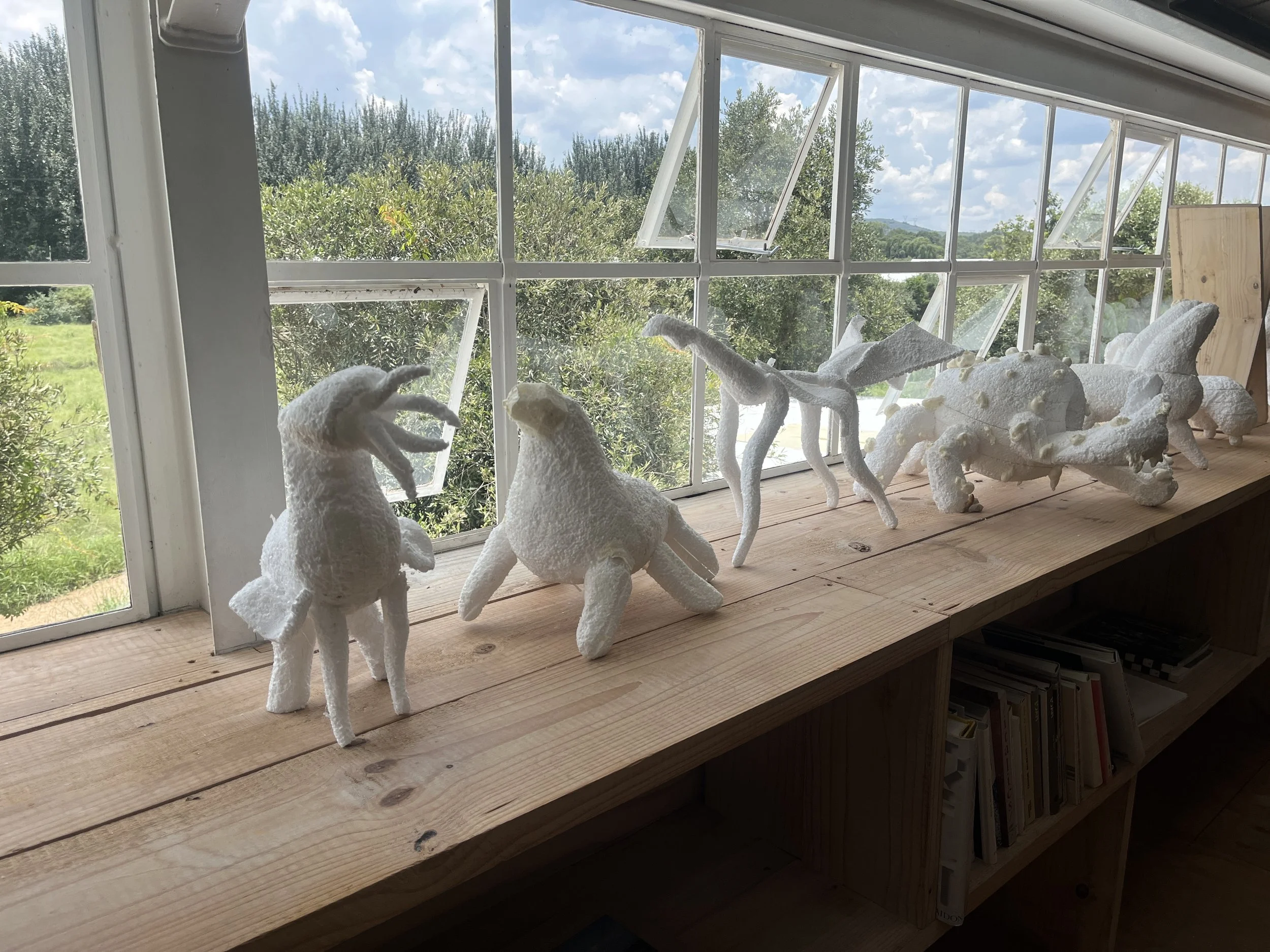 Atang Tshikare_December 2025_9340 3.JPG