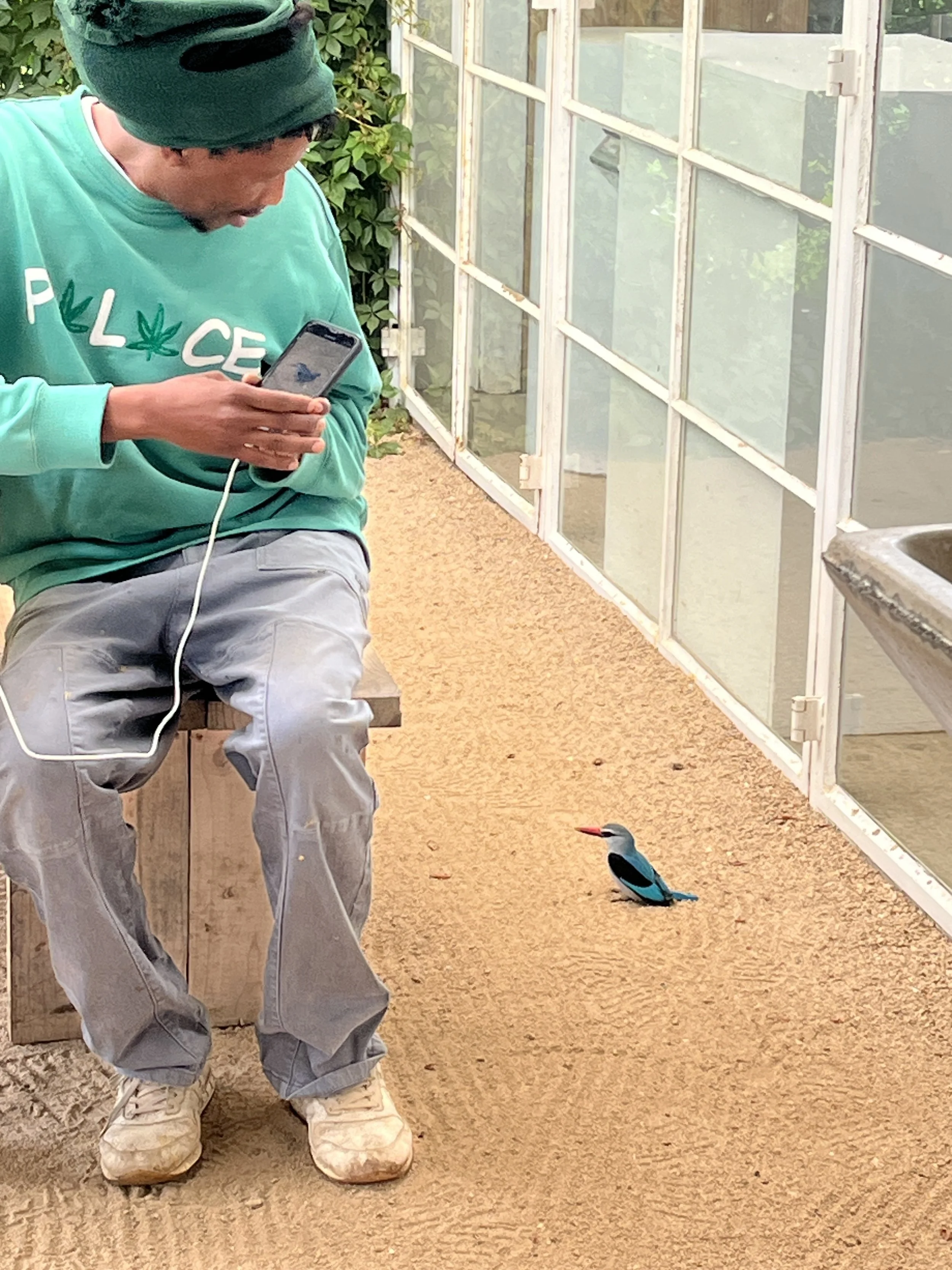 Atang Tshikare_December 2025_9153.JPG