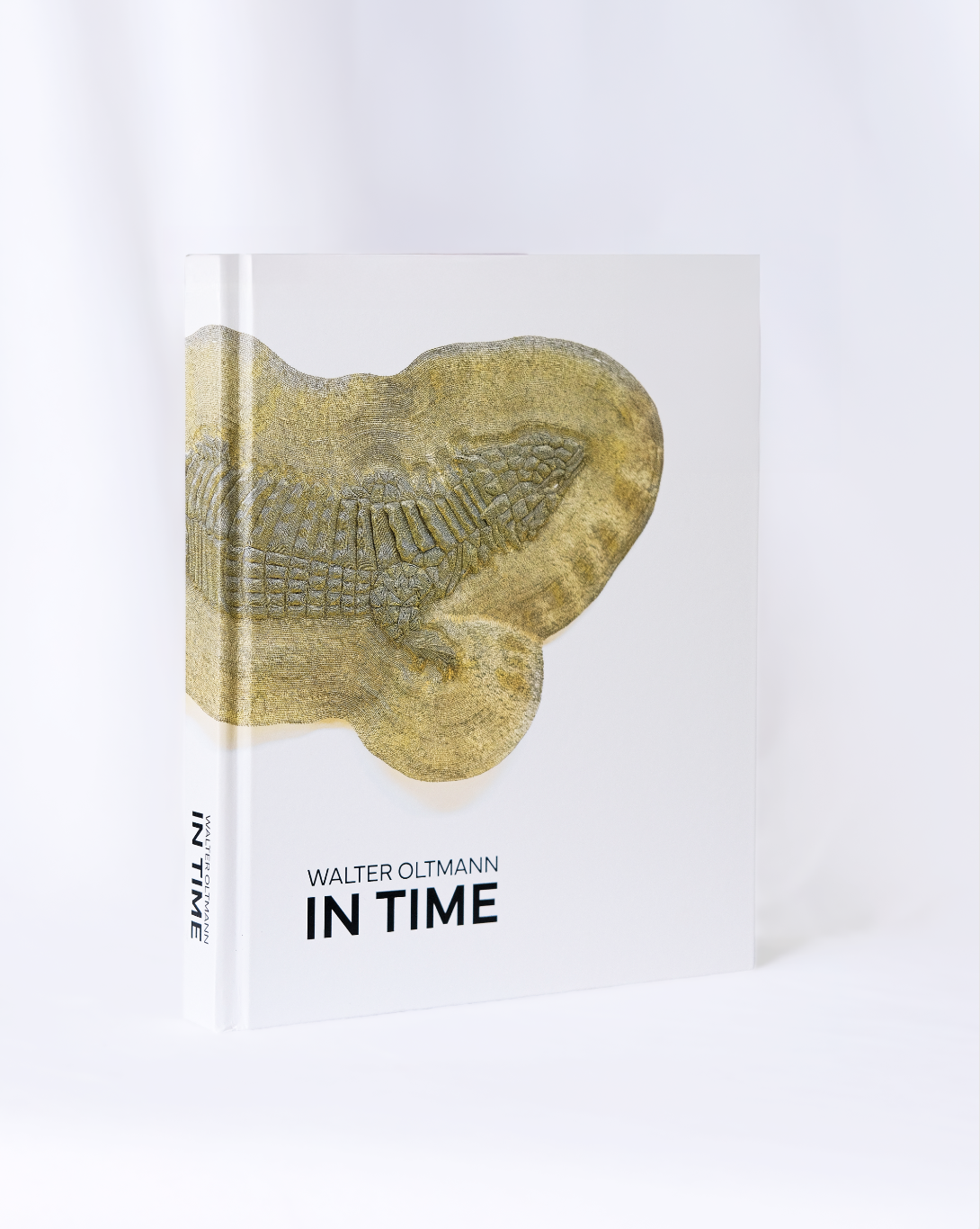 Walter Oltmann: In Time