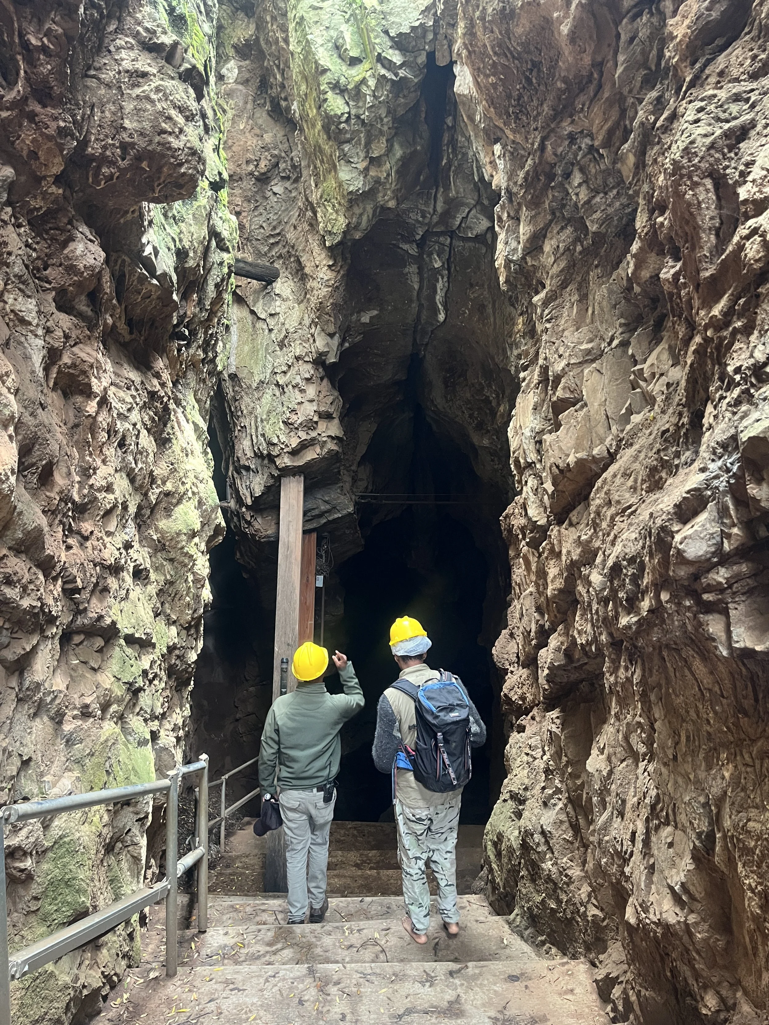 Atang Tshikare_December 2025_8828.JPG