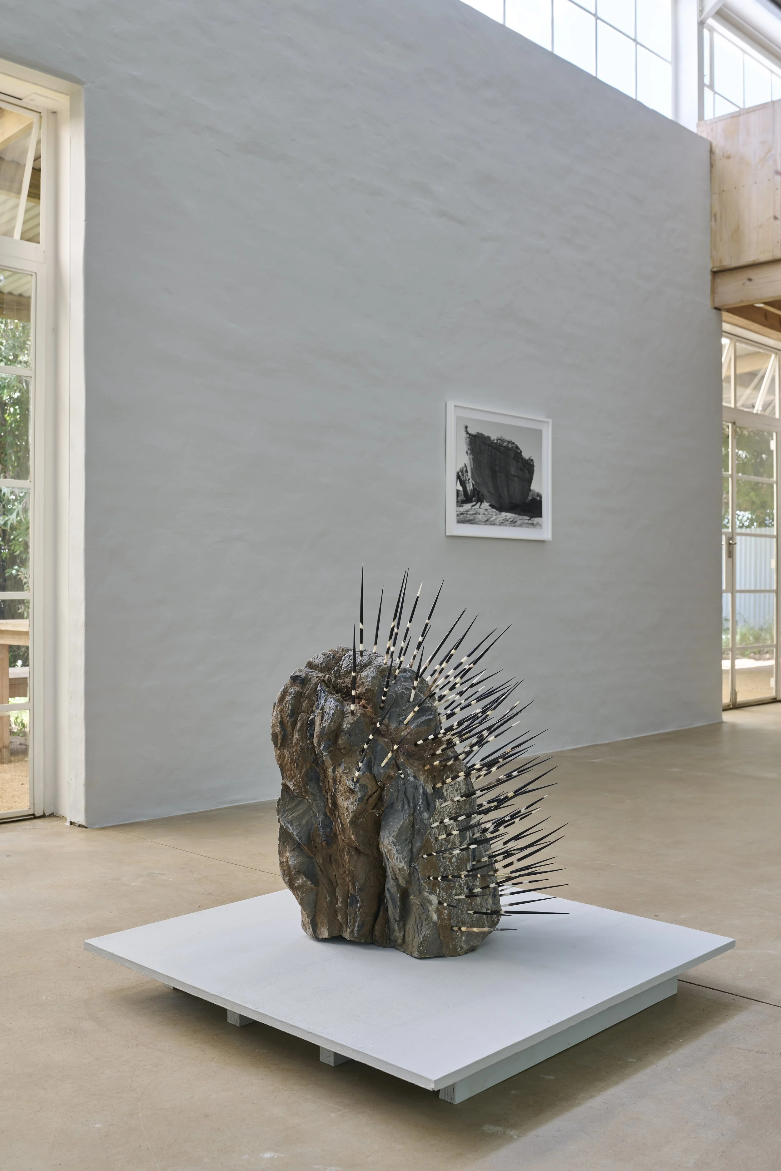 260209_VillaLegodi_RobinRhode_HIGH RES JPEG_AP_260209_032.jpg