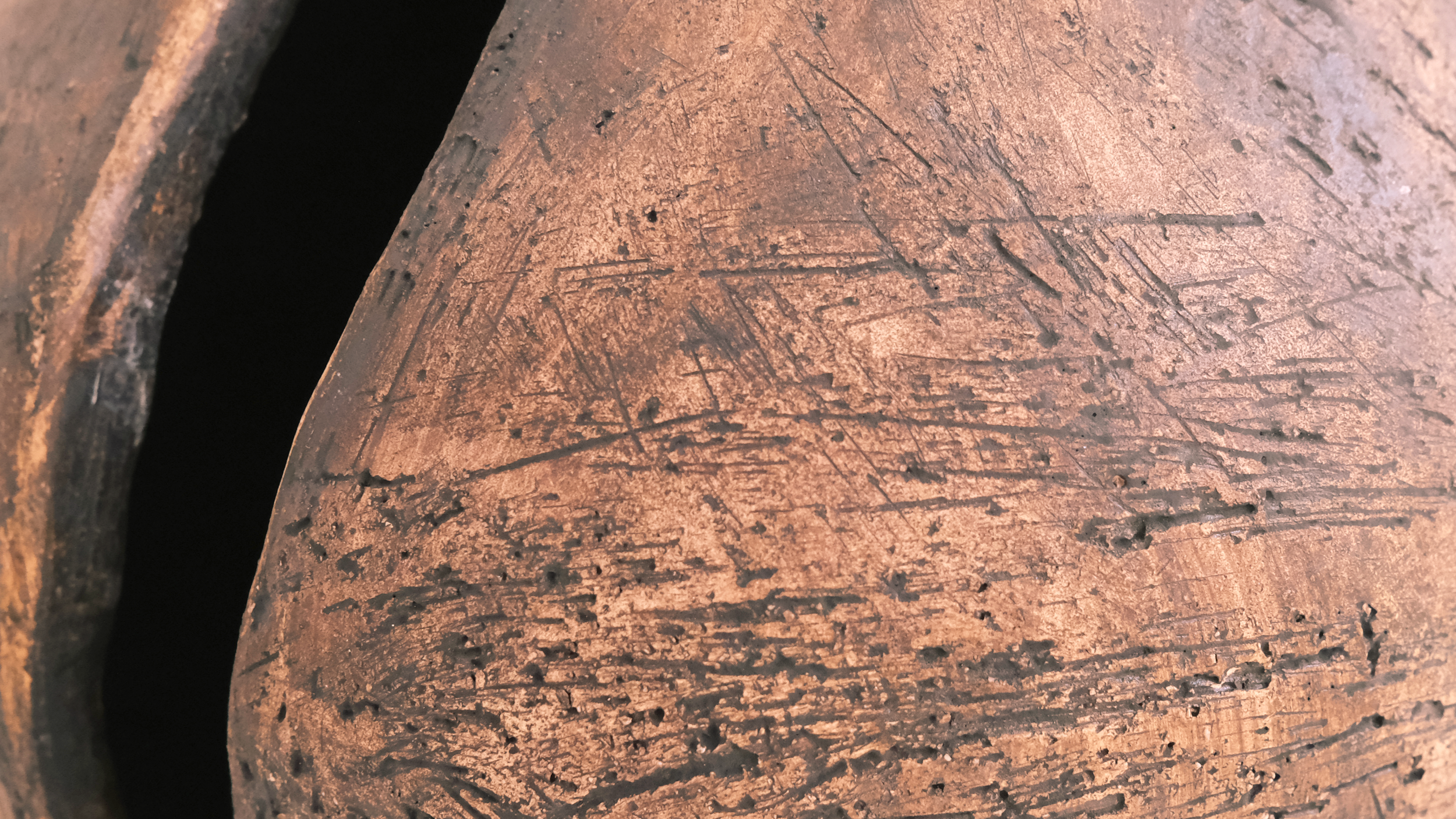 Adalgisa Mendes_3_Detail.png