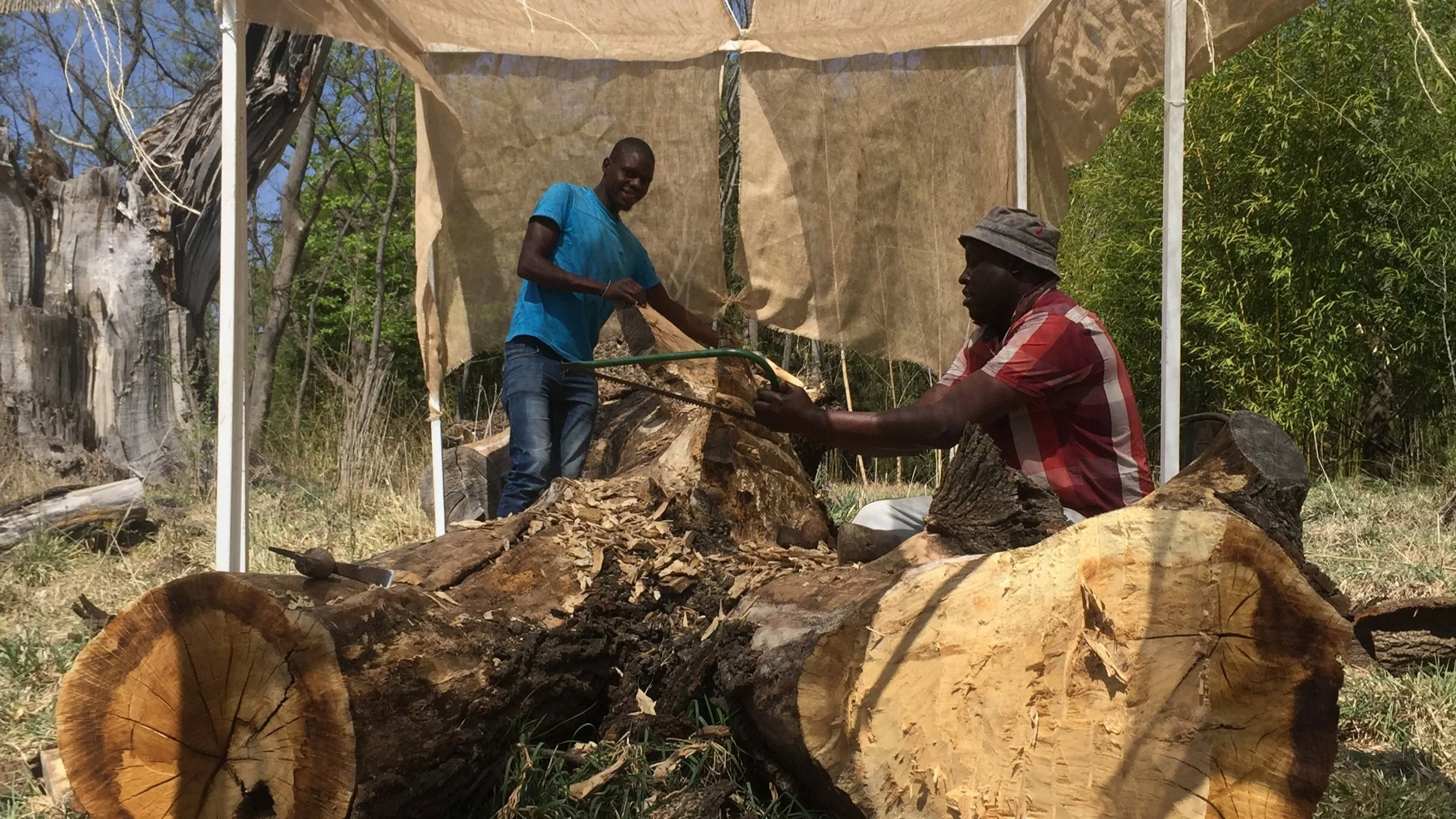 Collen Maswanganyi_7553.jpg