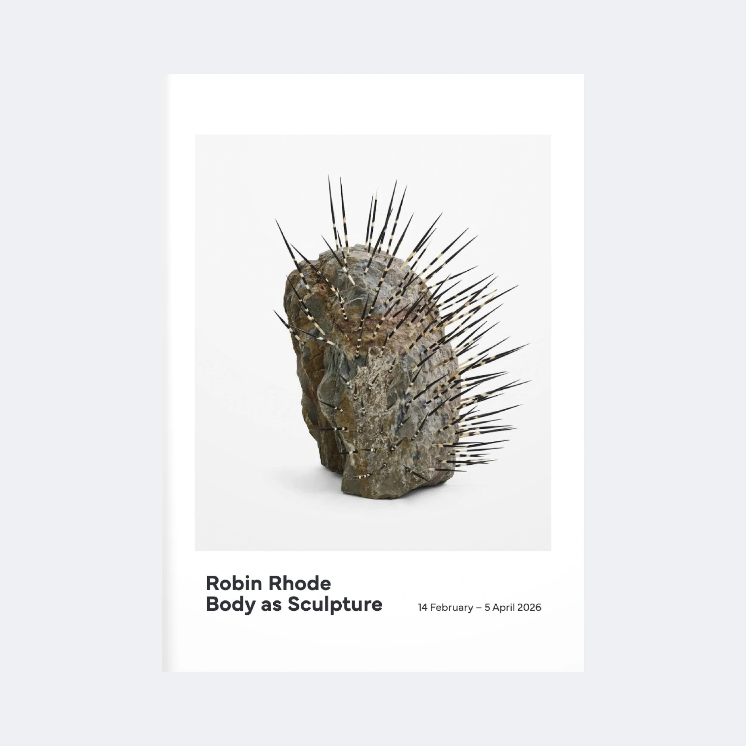 Website_Robin Rhode_2026_Catalogue Cover.jpg