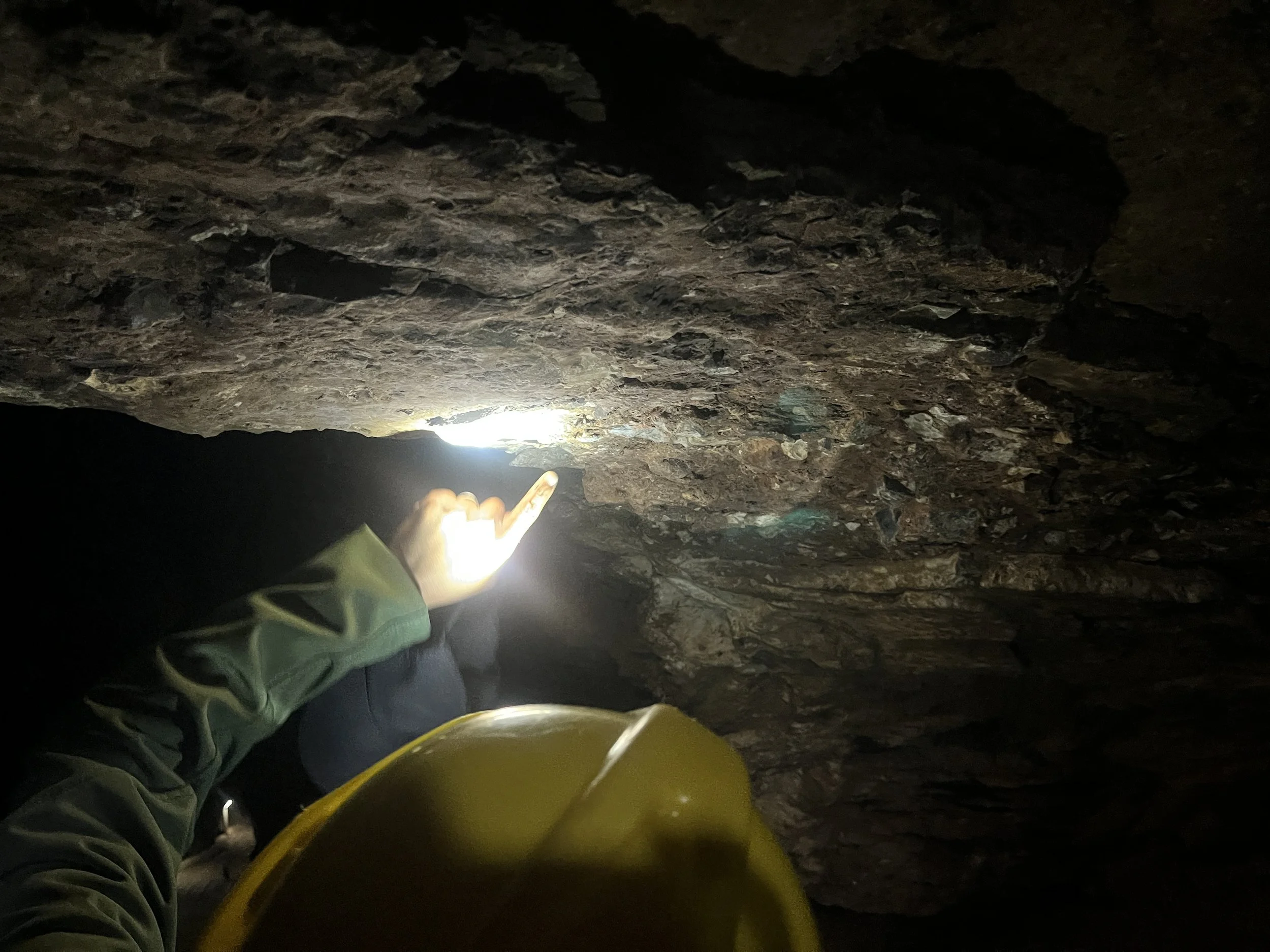 Atang Tshikare_December 2025_8829.JPG