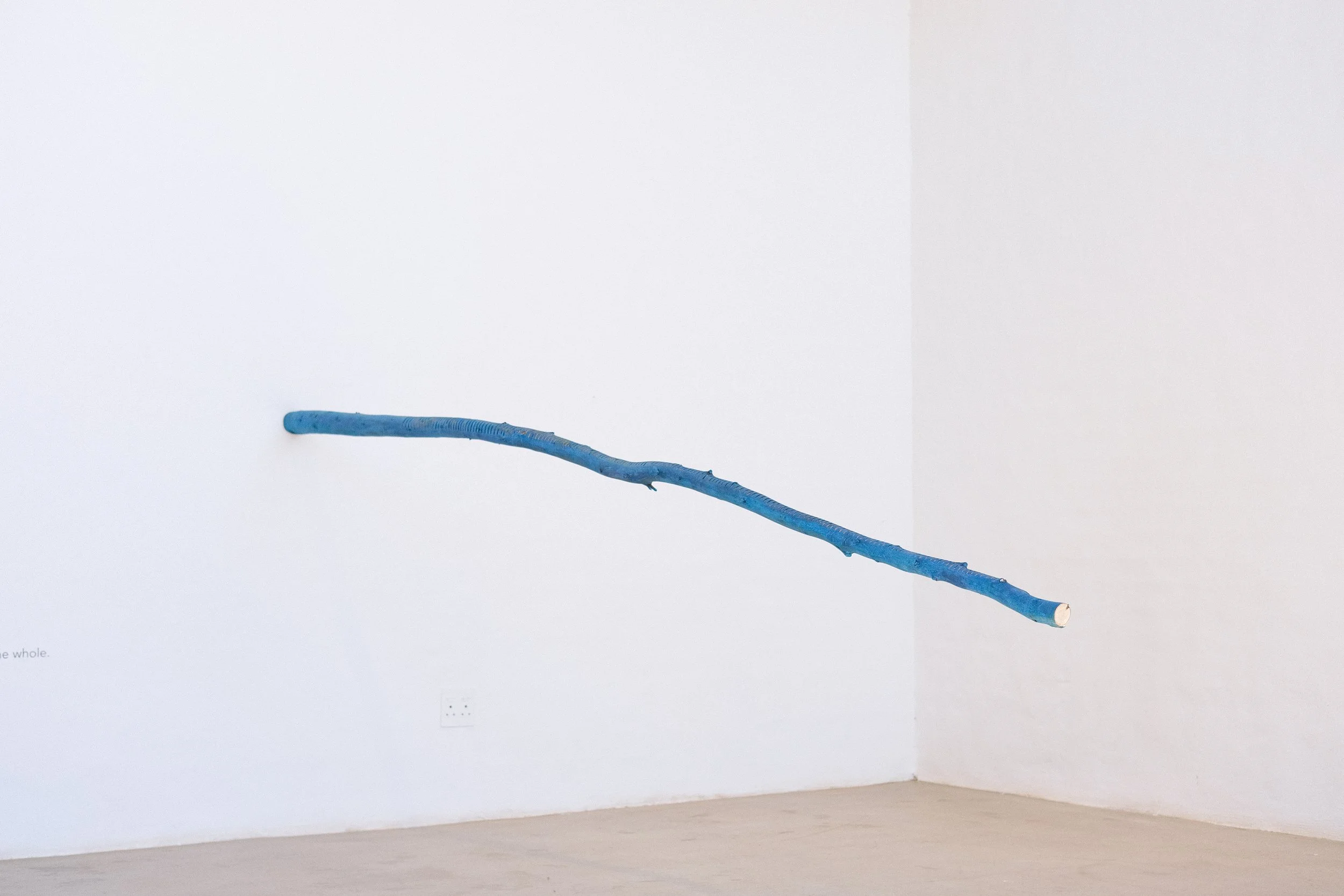 Systemic Opening-13.jpg