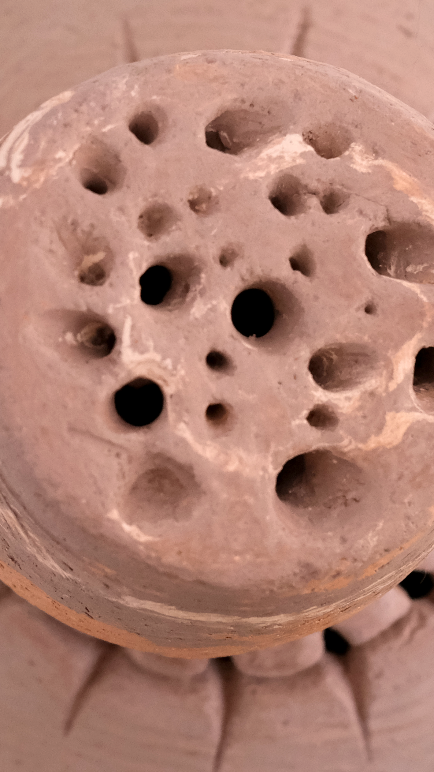 Lehlohonolo Nale_3_Detail.png