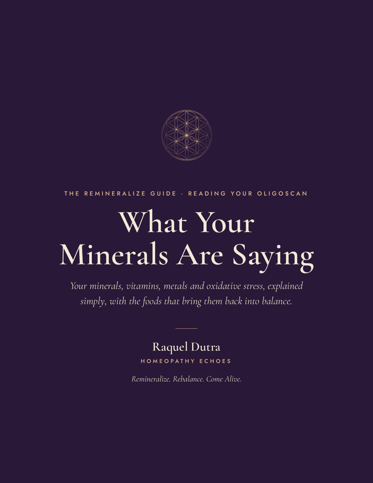 product-cover-minerals.png