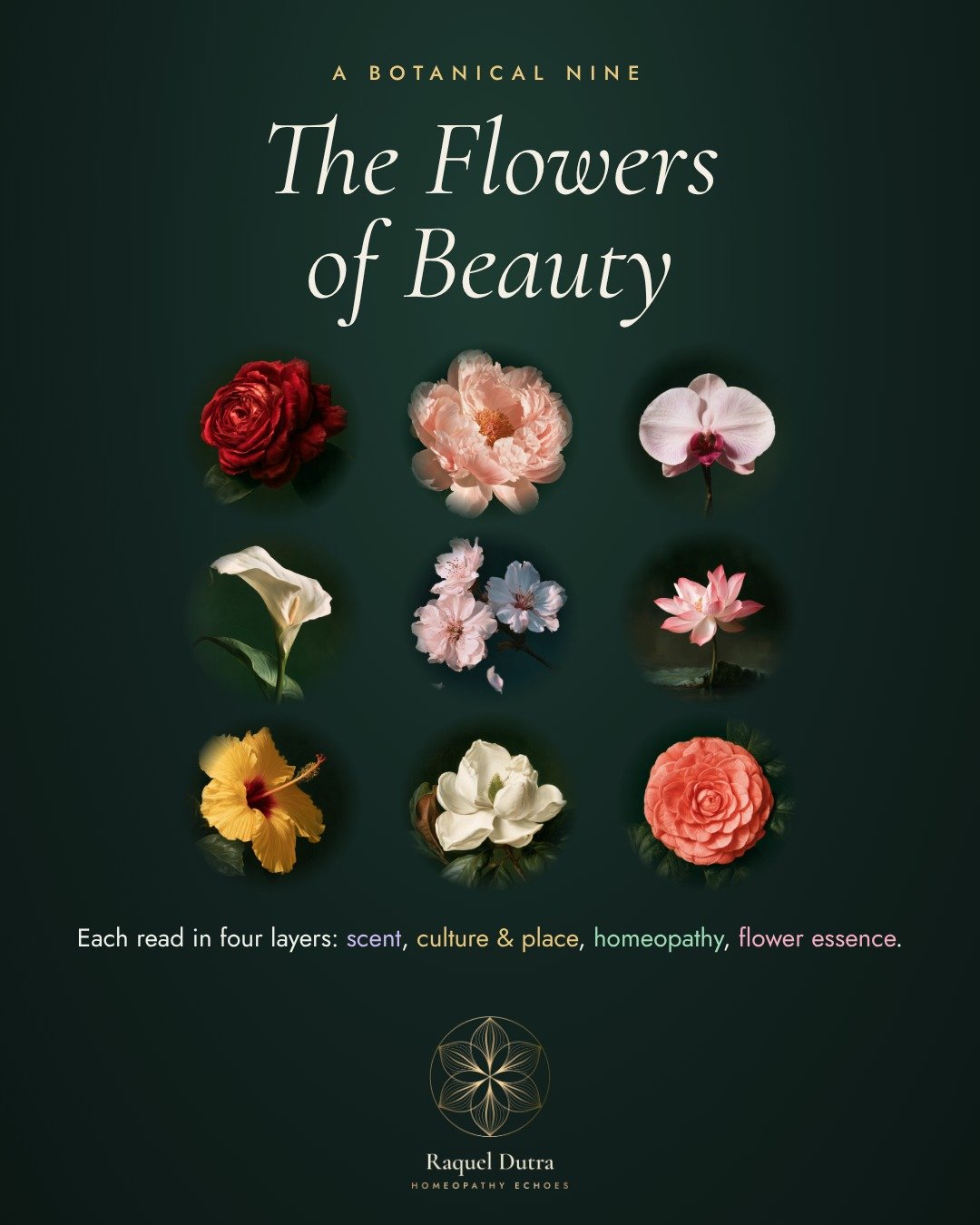 flowers-of-beauty-00.jpg