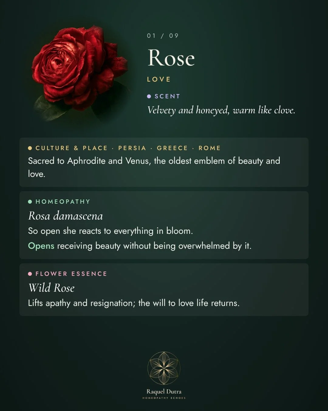 flowers-of-beauty-01.jpg