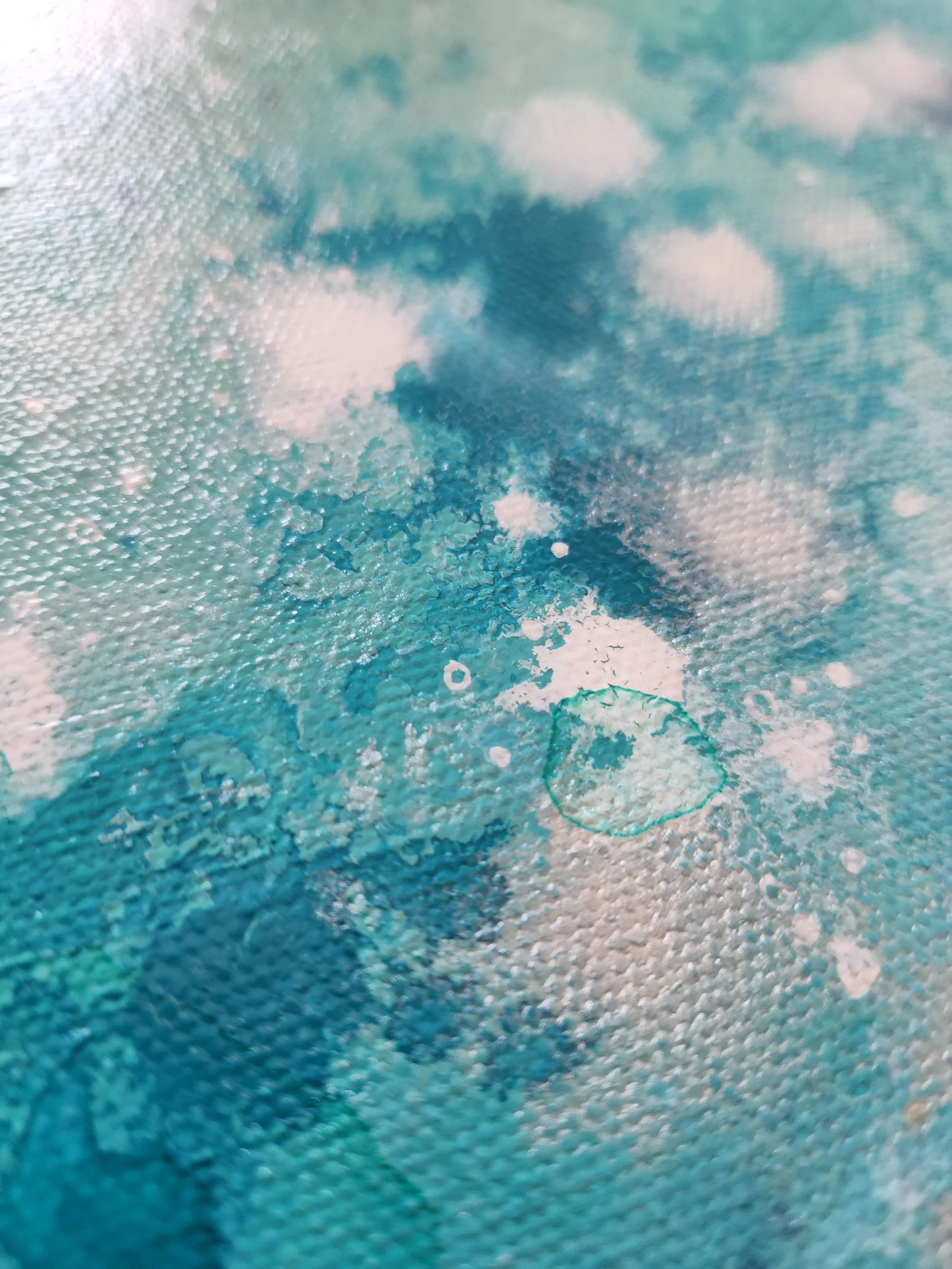 WAI 1 close up.jpg