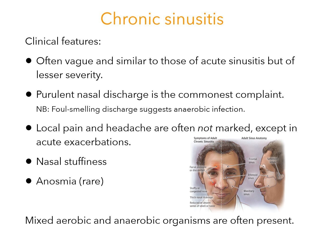 sinusitis_10.jpg