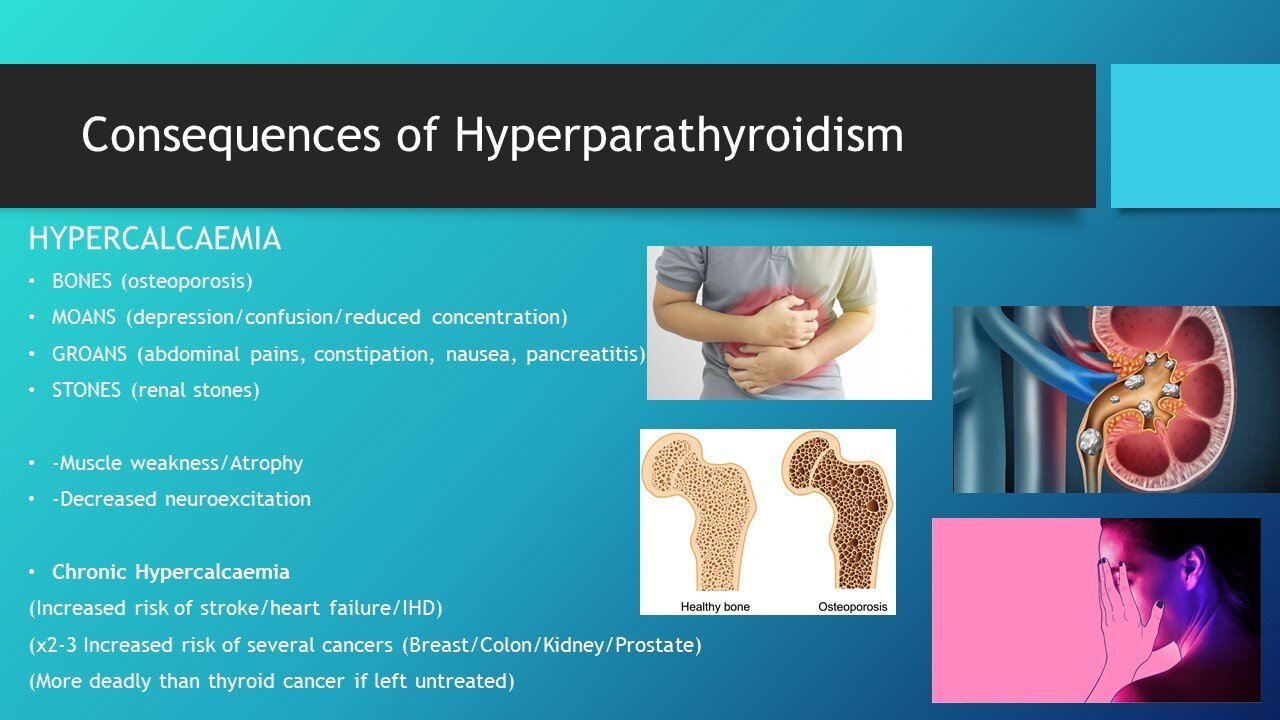 Slide6.jpg
