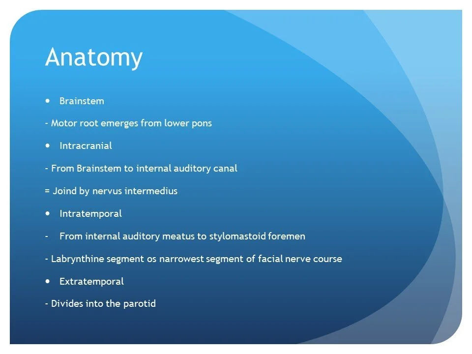 Slide4.jpg