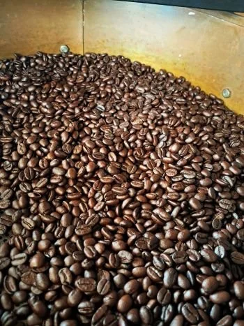 Introducing La Leyenda Roasters: Craft Coffee Rooted in Sustainability and Eco Tourism