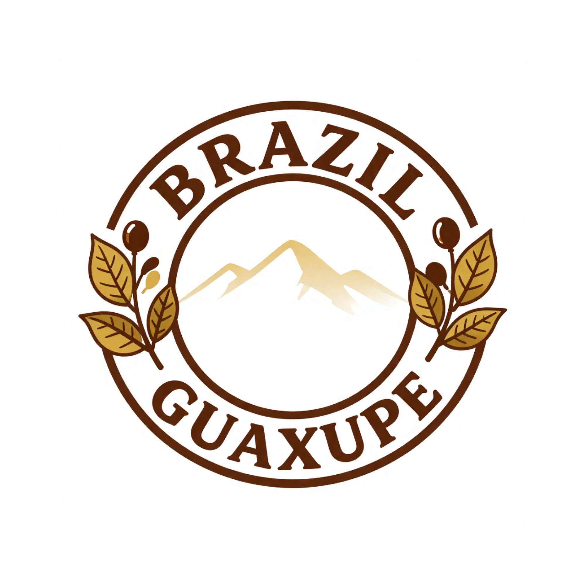 Brazil Guaxupé Semi-Washed 2/3 SCR 14/16 SSFC