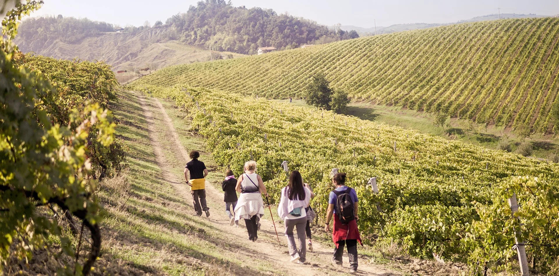 trekking-tra-i-vigneti.jpg